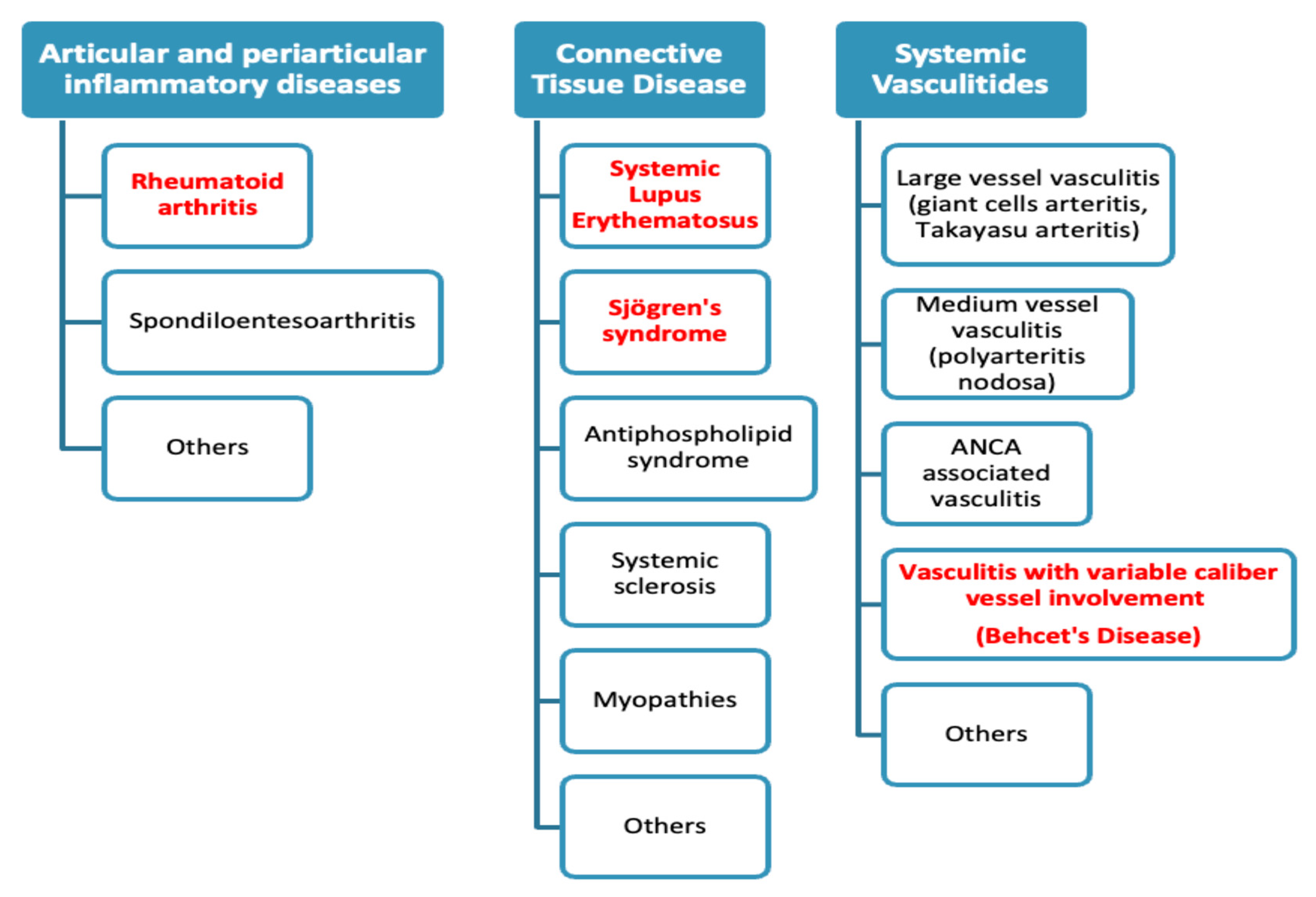 Diagnostics 14 00242 g001