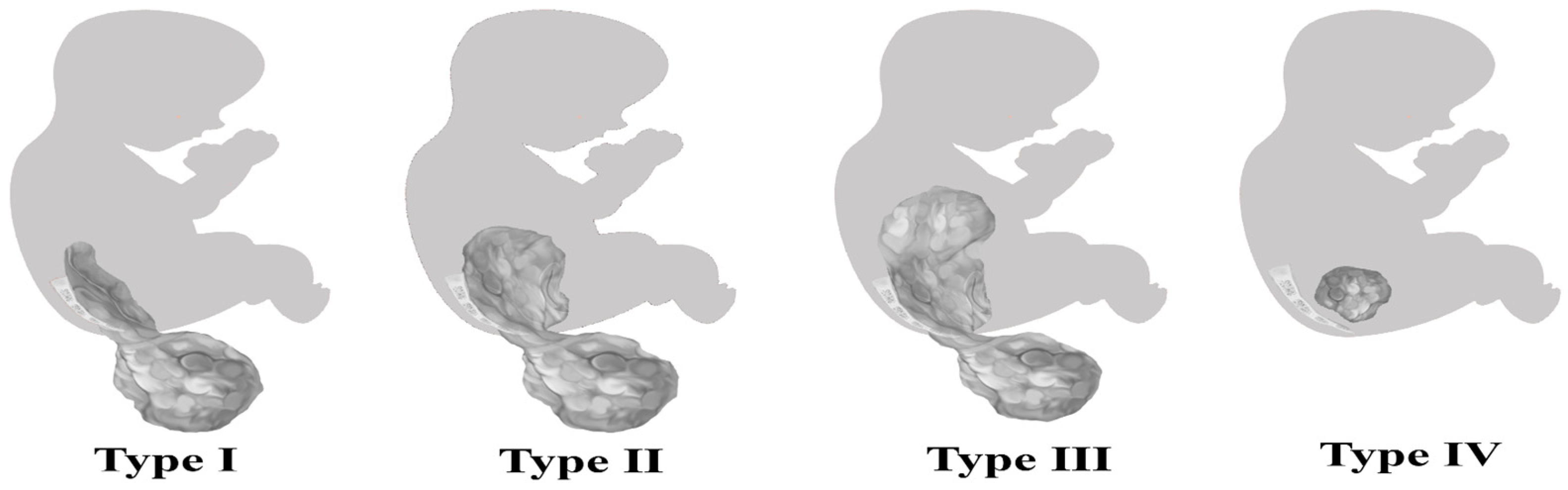 Diagnostics 14 00246 g001 Diagnostics 14 00246 g001