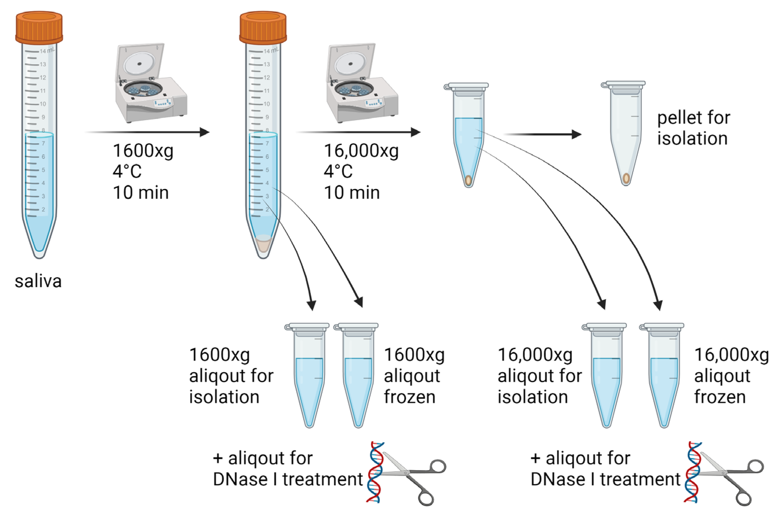 Diagnostics 14 00249 g001