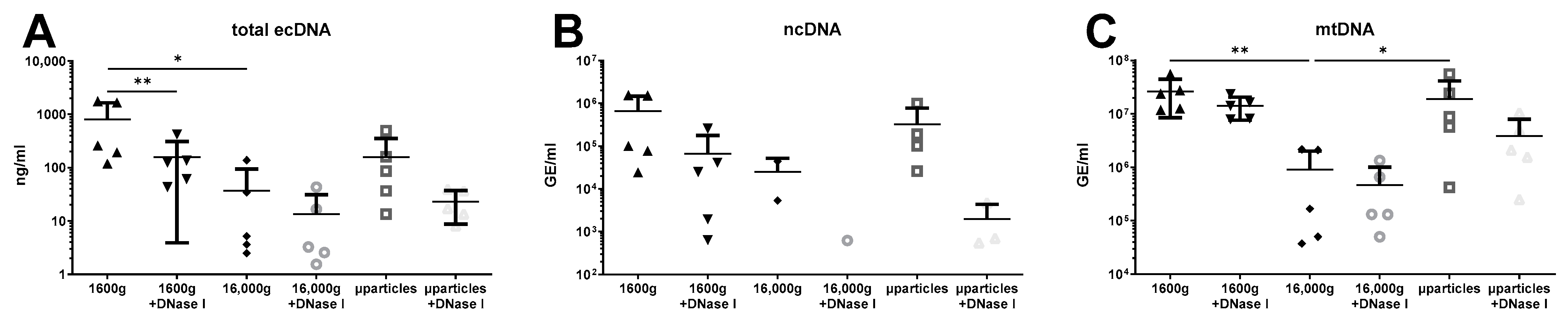 Diagnostics 14 00249 g004