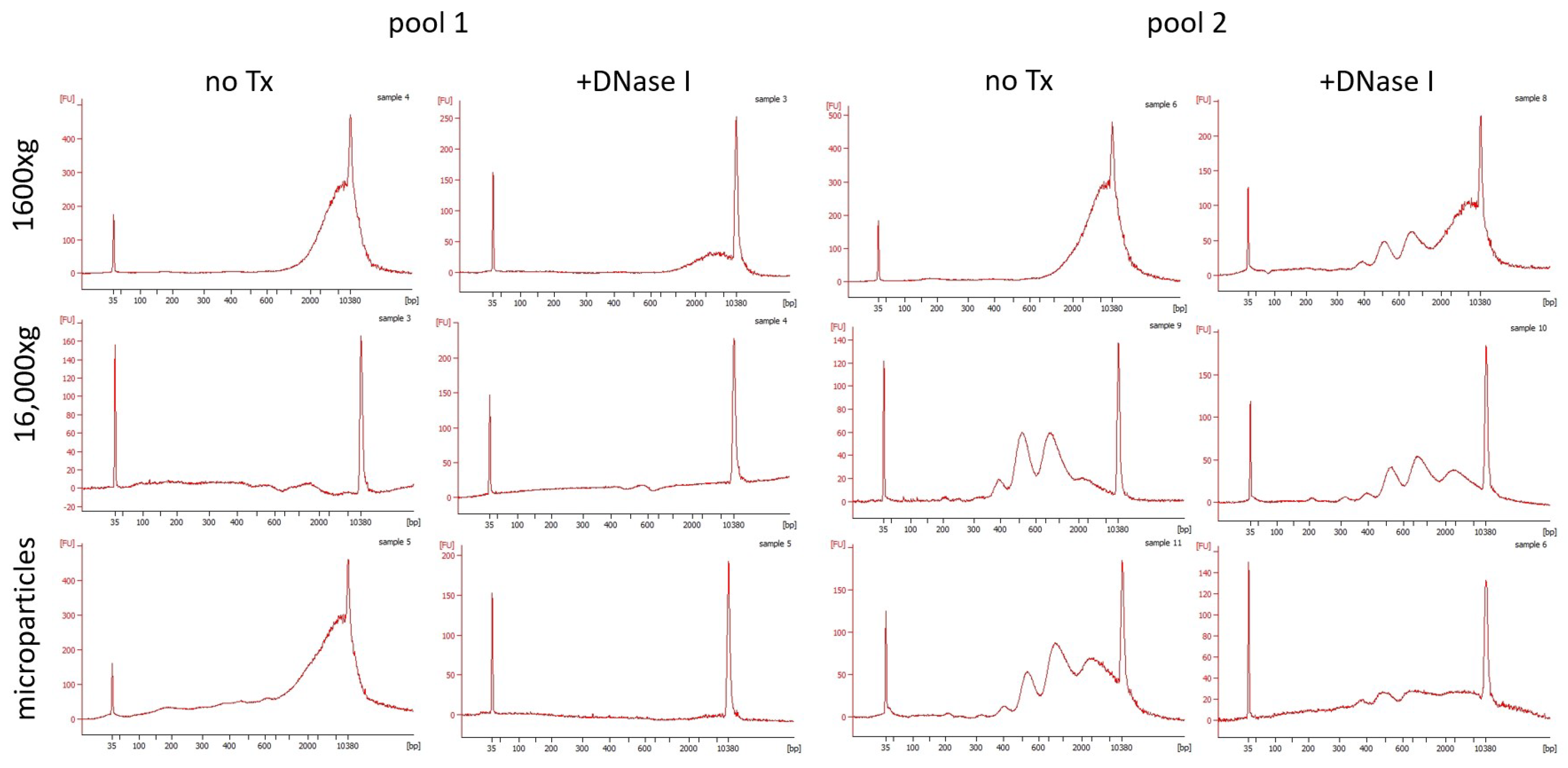 Diagnostics 14 00249 g005