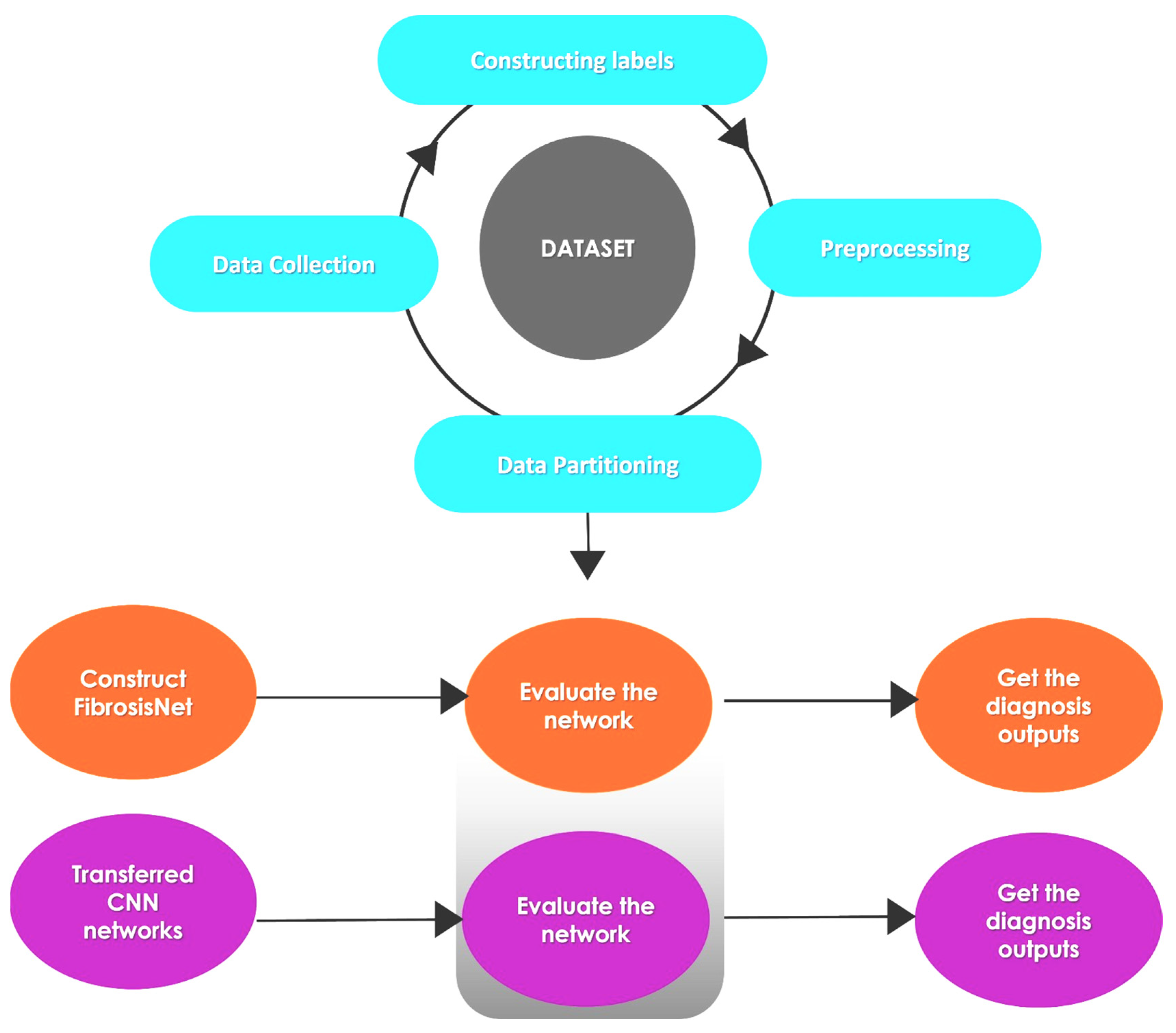 Diagnostics 14 00255 g002