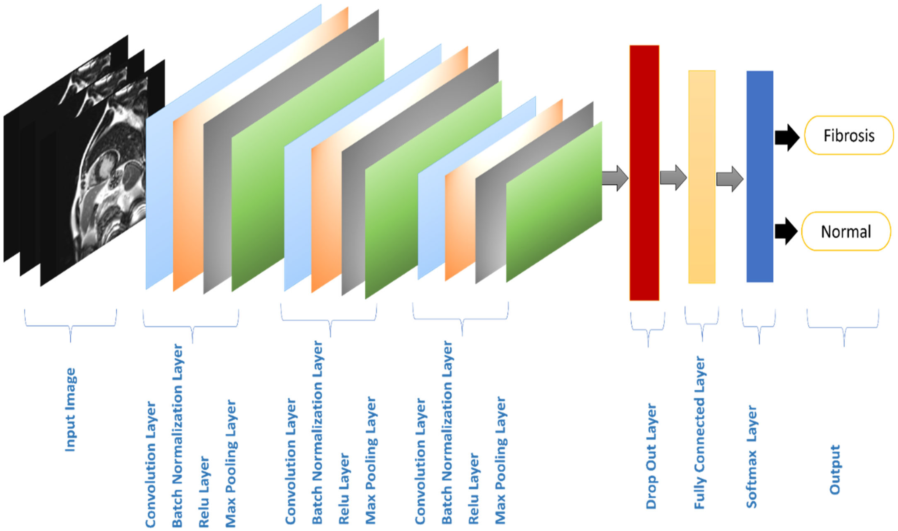 Diagnostics 14 00255 g004