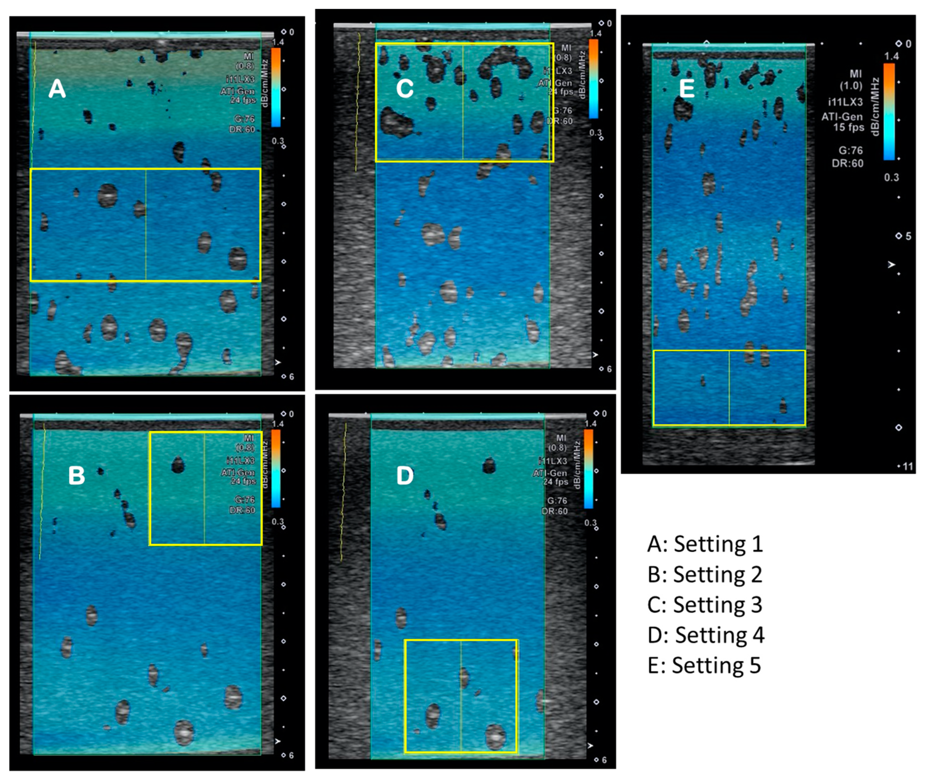 Diagnostics 14 00271 g002