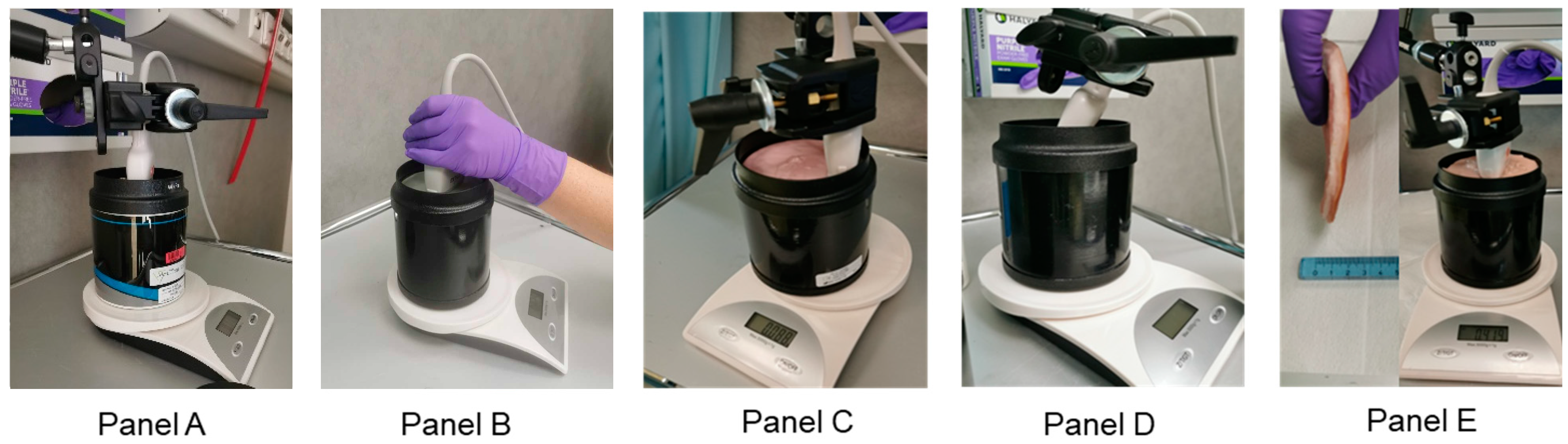 Diagnostics 14 00271 g003