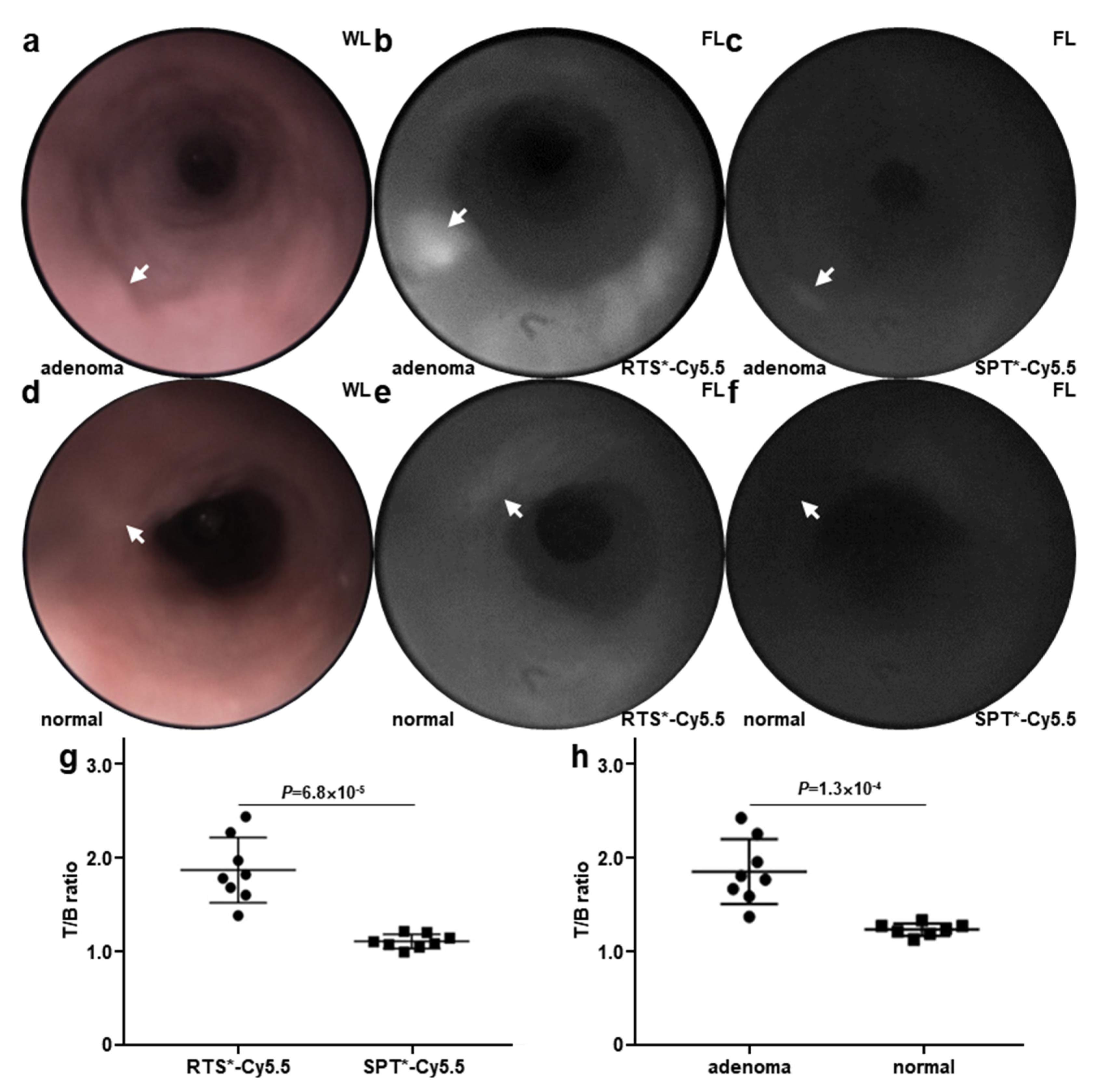 Diagnostics 14 00273 g004