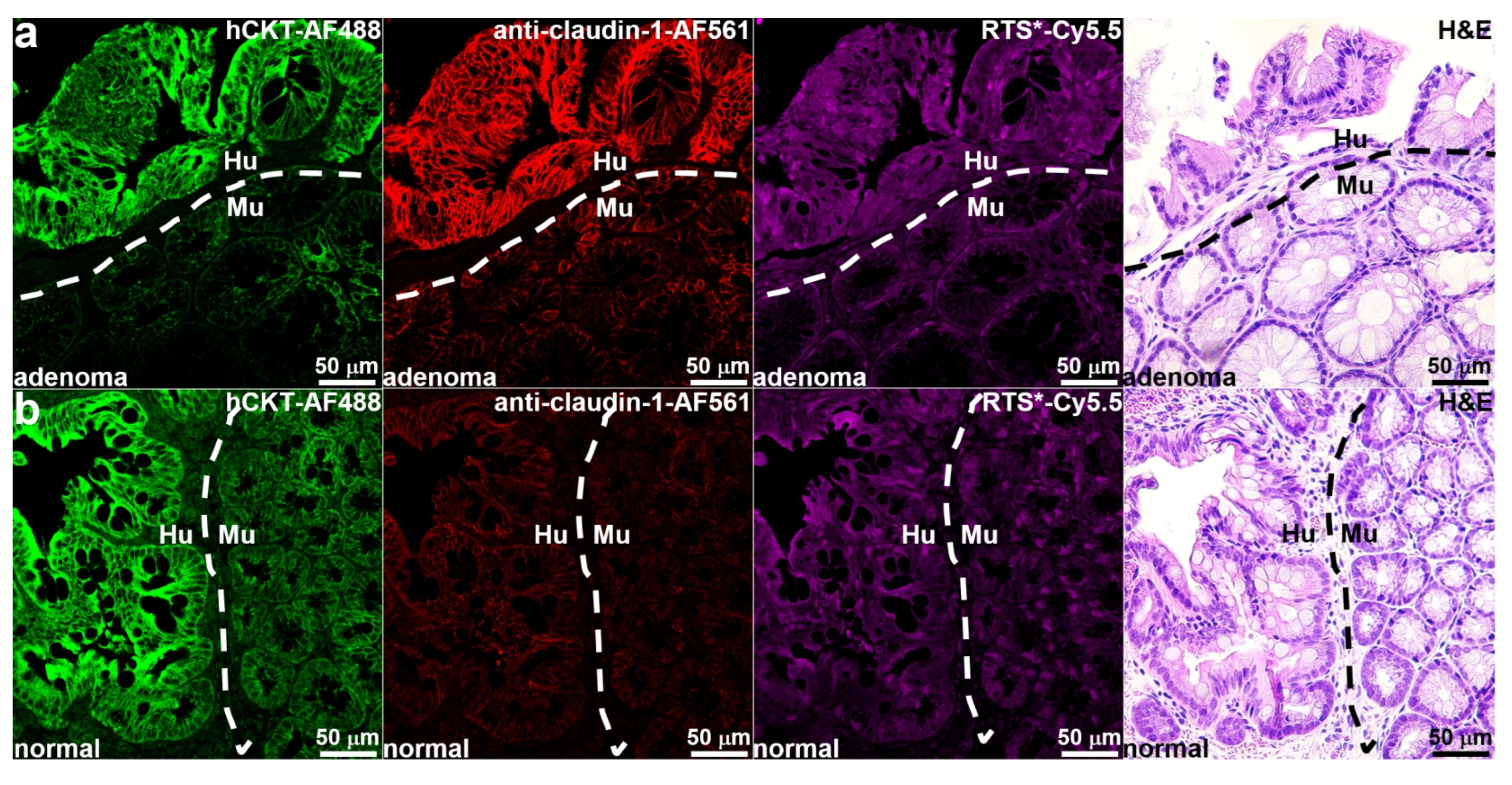 Diagnostics 14 00273 g006