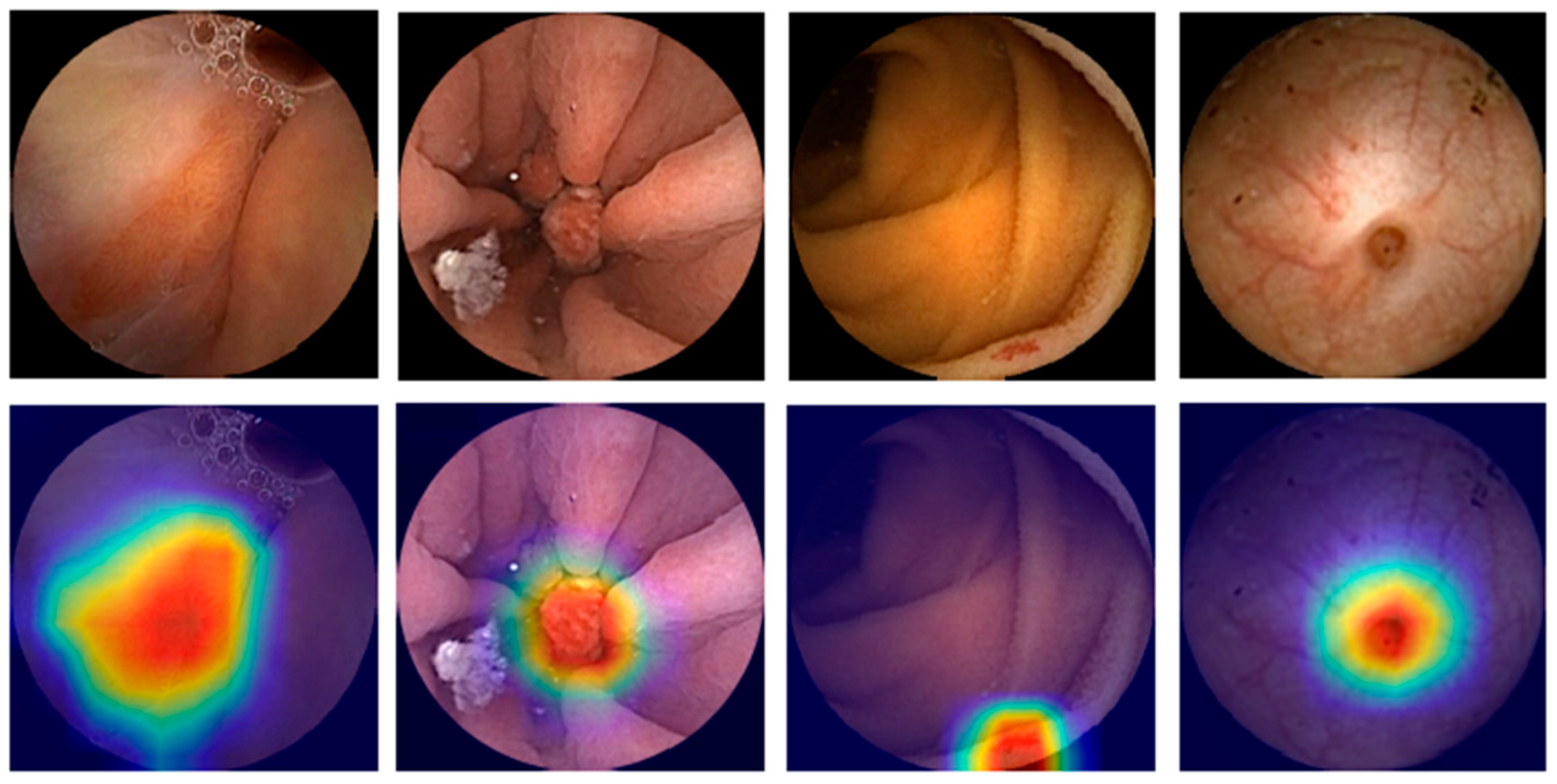 Diagnostics 14 00291 g003