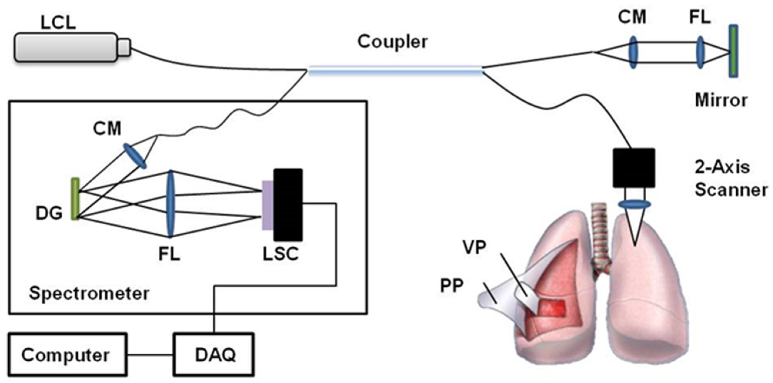 Diagnostics 14 00292 g001 Diagnostics 14 00292 g001