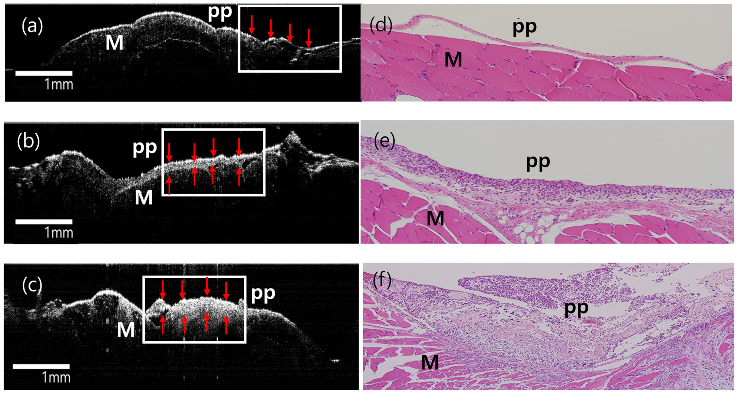 Diagnostics 14 00292 g007 Diagnostics 14 00292 g007