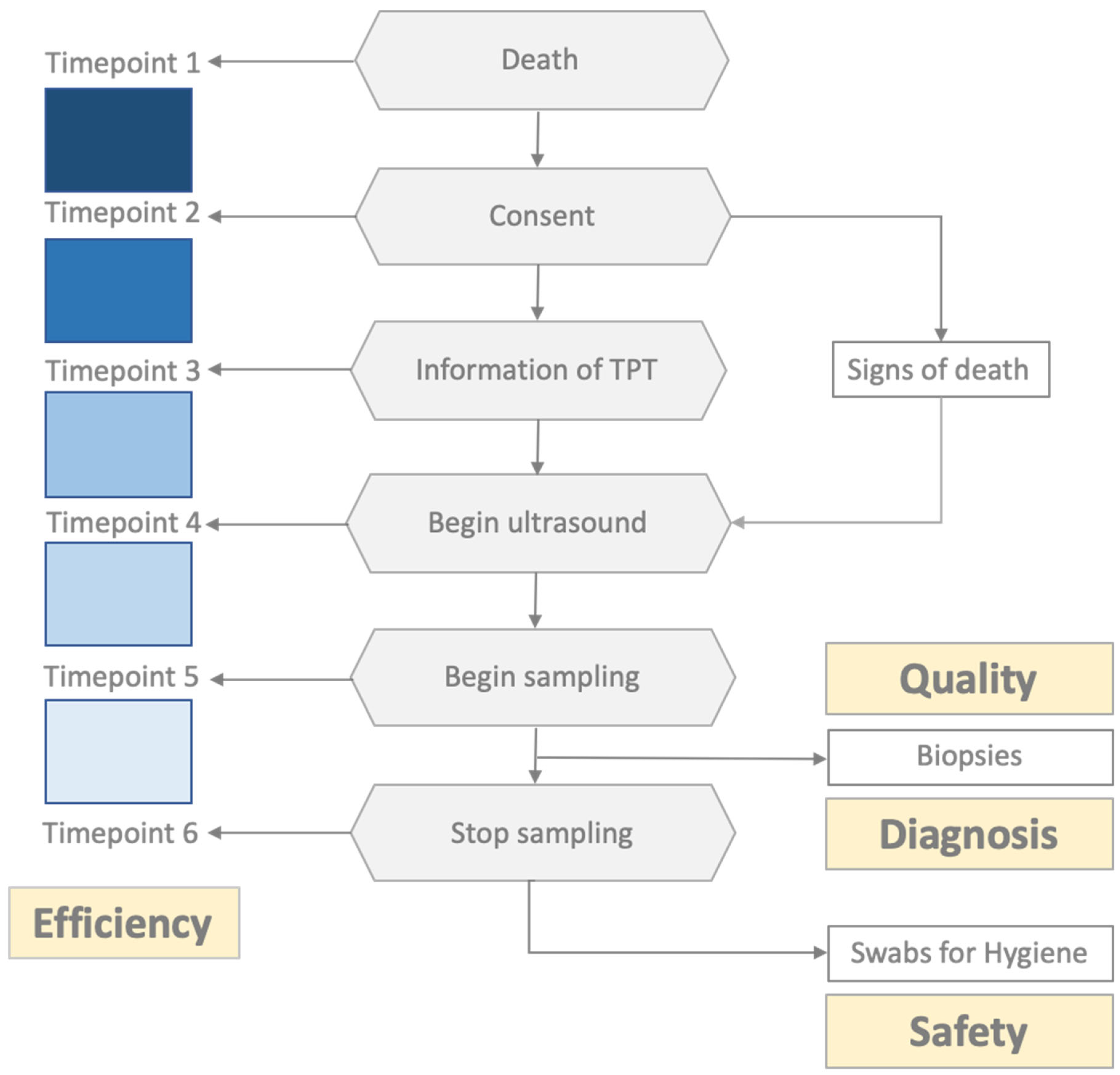 Diagnostics 14 00294 g001