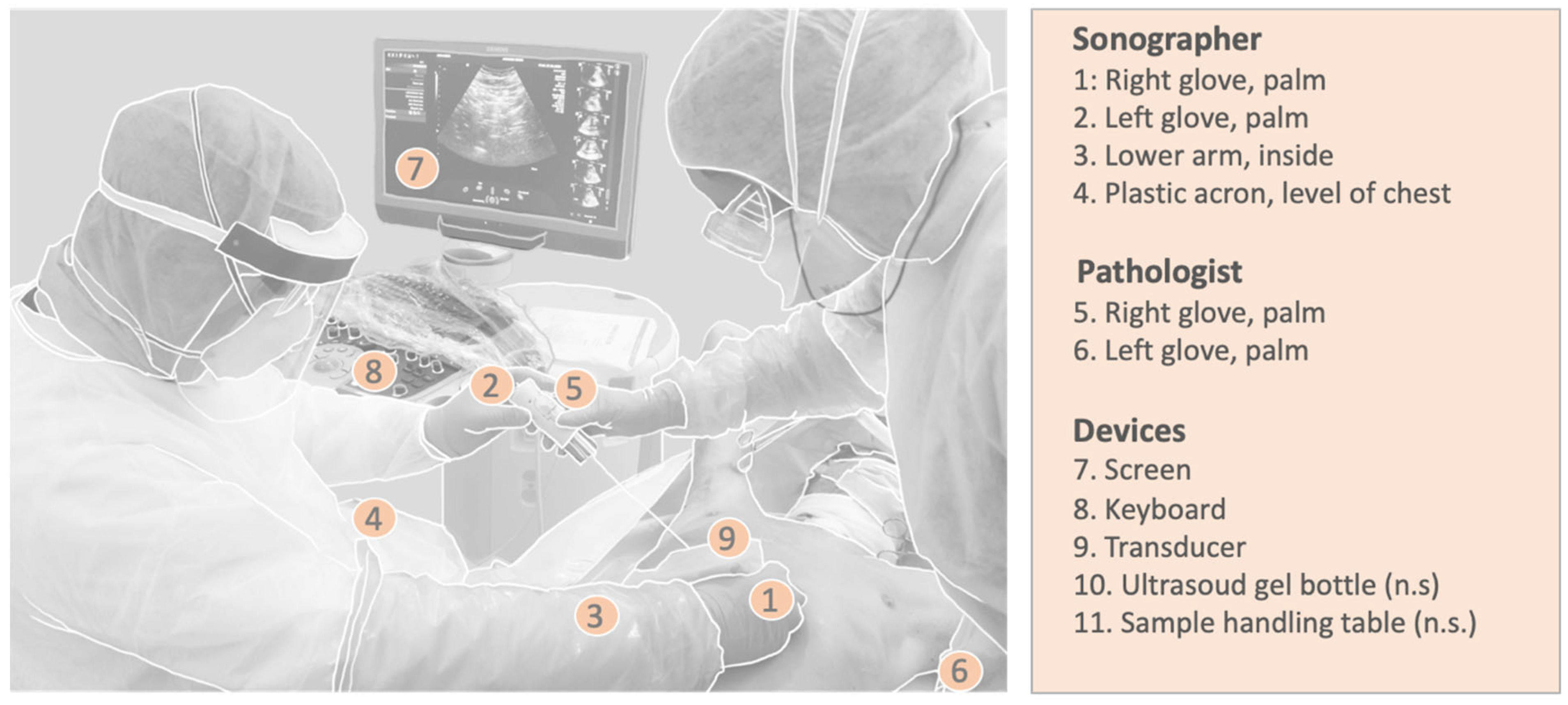 Diagnostics 14 00294 g002
