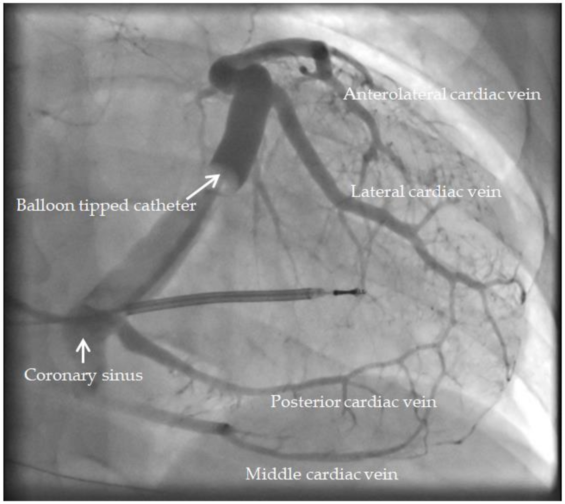 Diagnostics 14 00299 g003