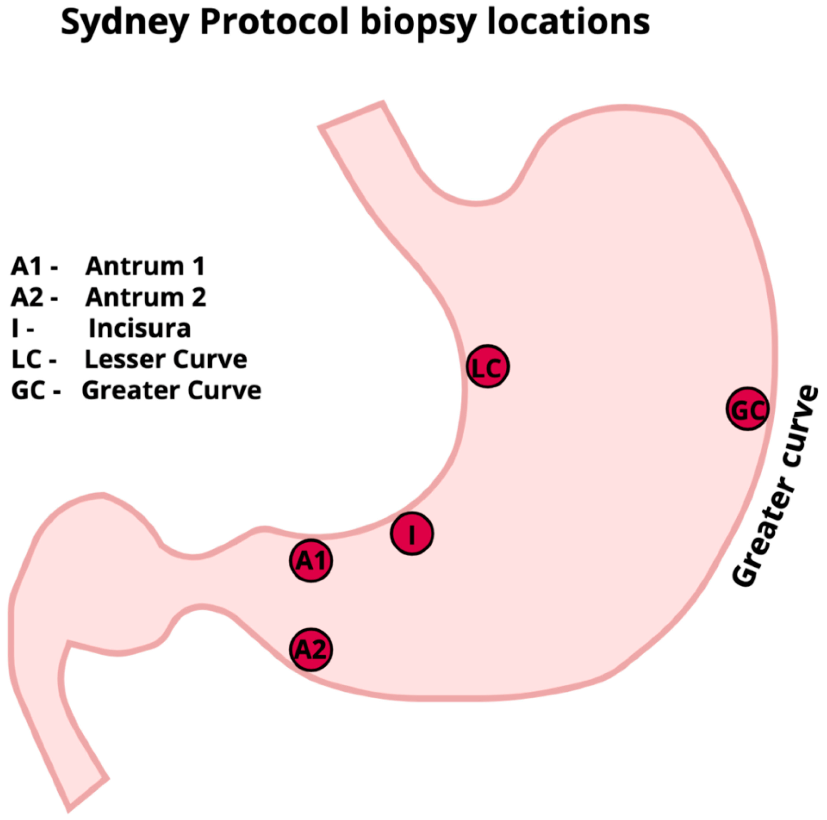 Diagnostics 14 00301 g004 Diagnostics 14 00301 g004