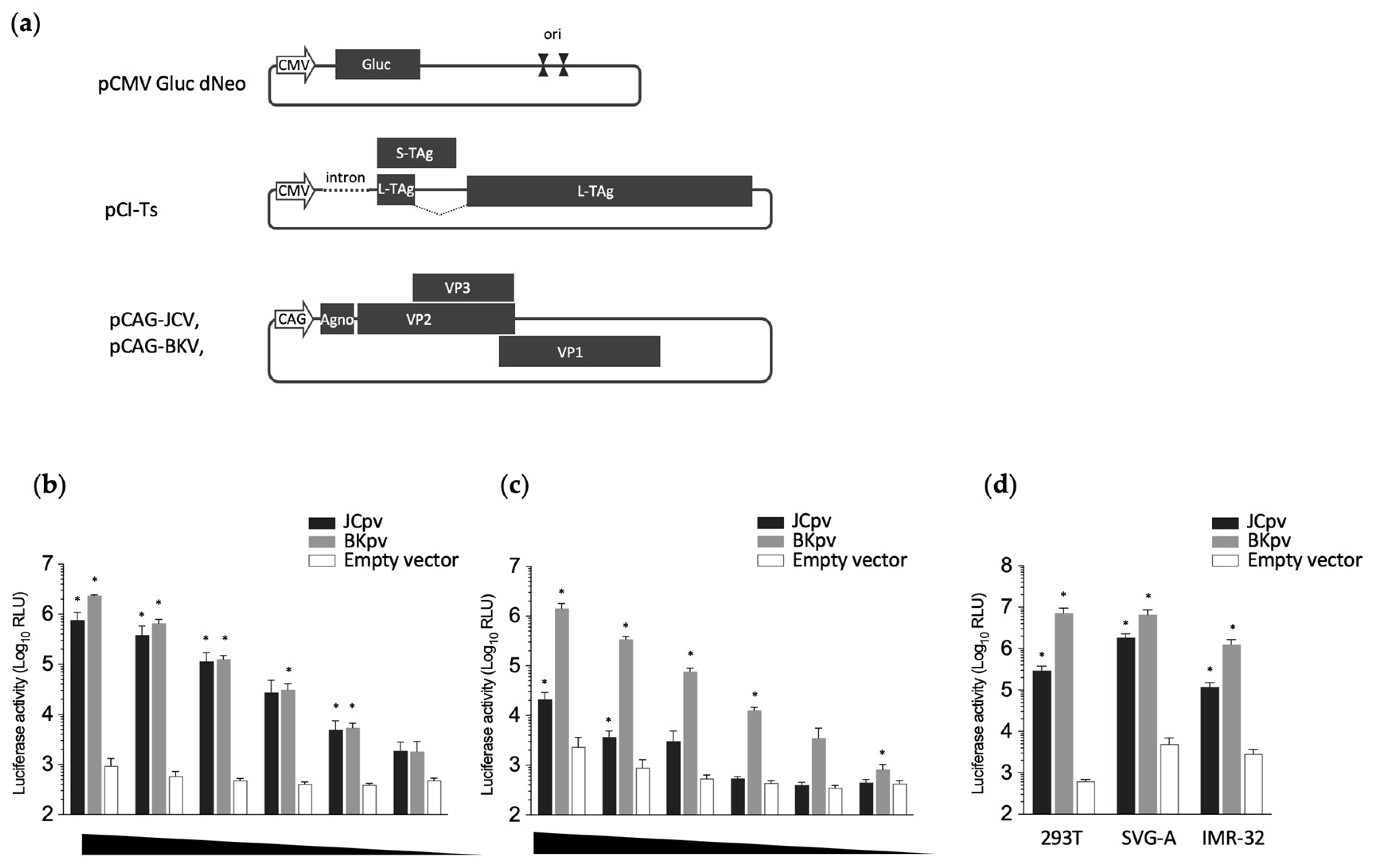Diagnostics 14 00311 g001