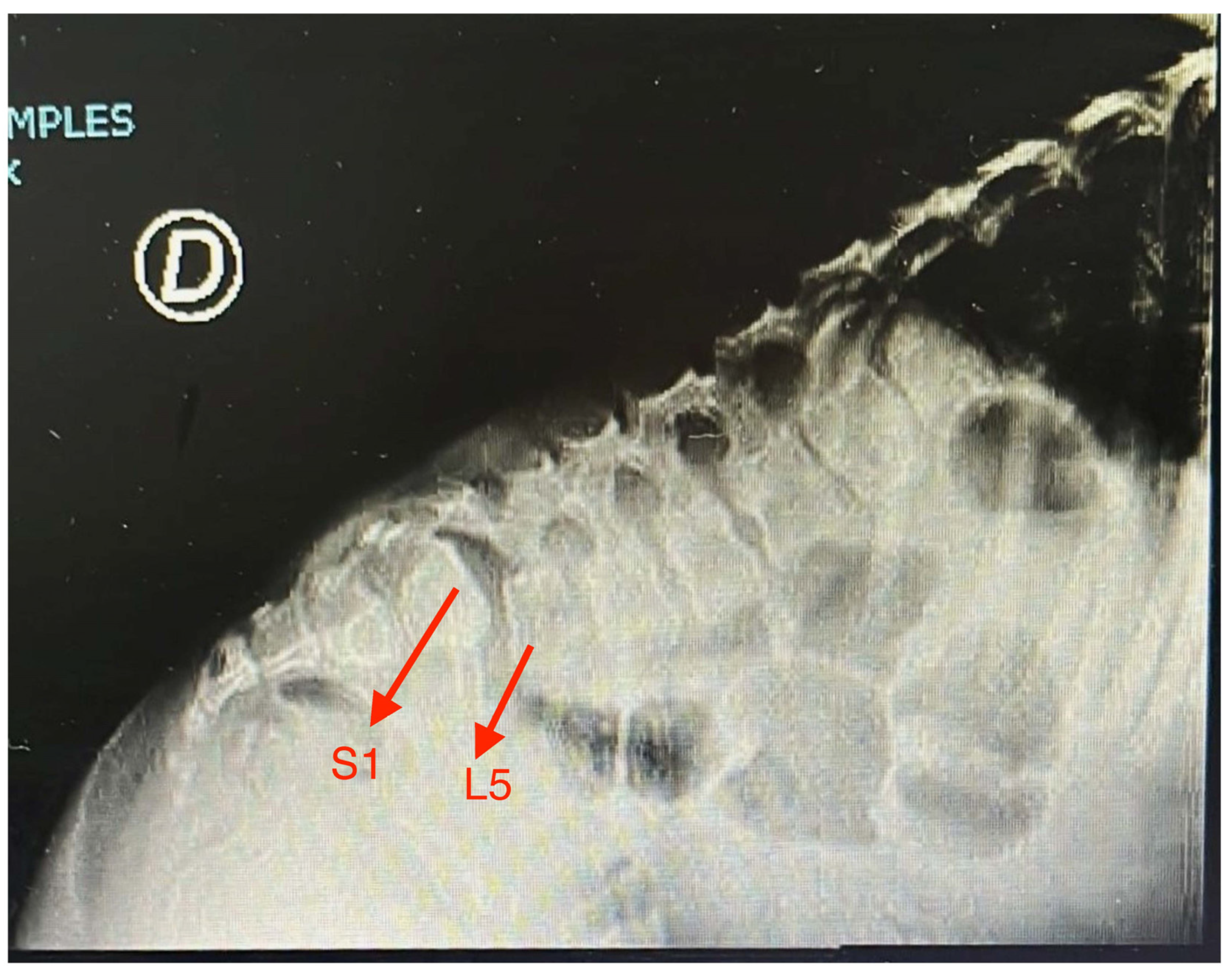 Diagnostics 14 00313 g001