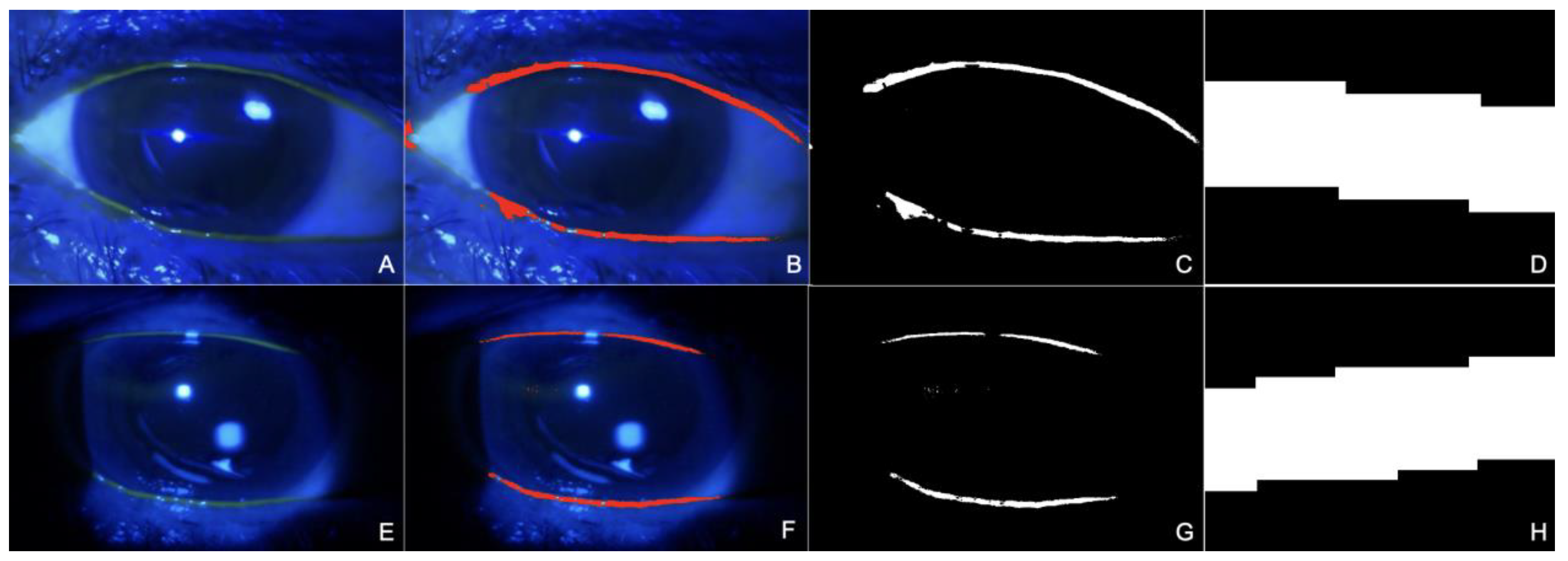 Diagnostics 14 00316 g001 Diagnostics 14 00316 g001
