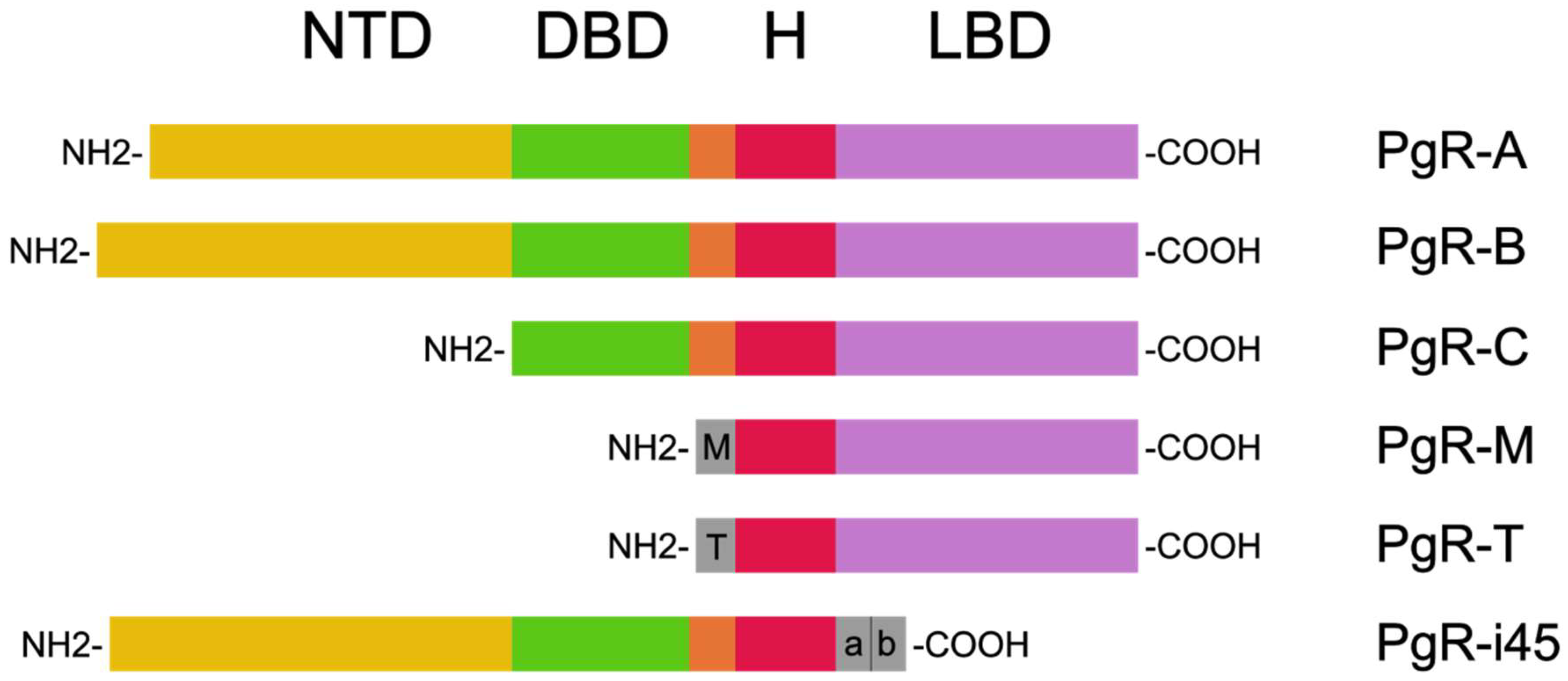 Diagnostics 14 00322 g002