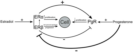 Estrogen Receptor (ER) and Progesterone Receptor (PgR) Expression in ...