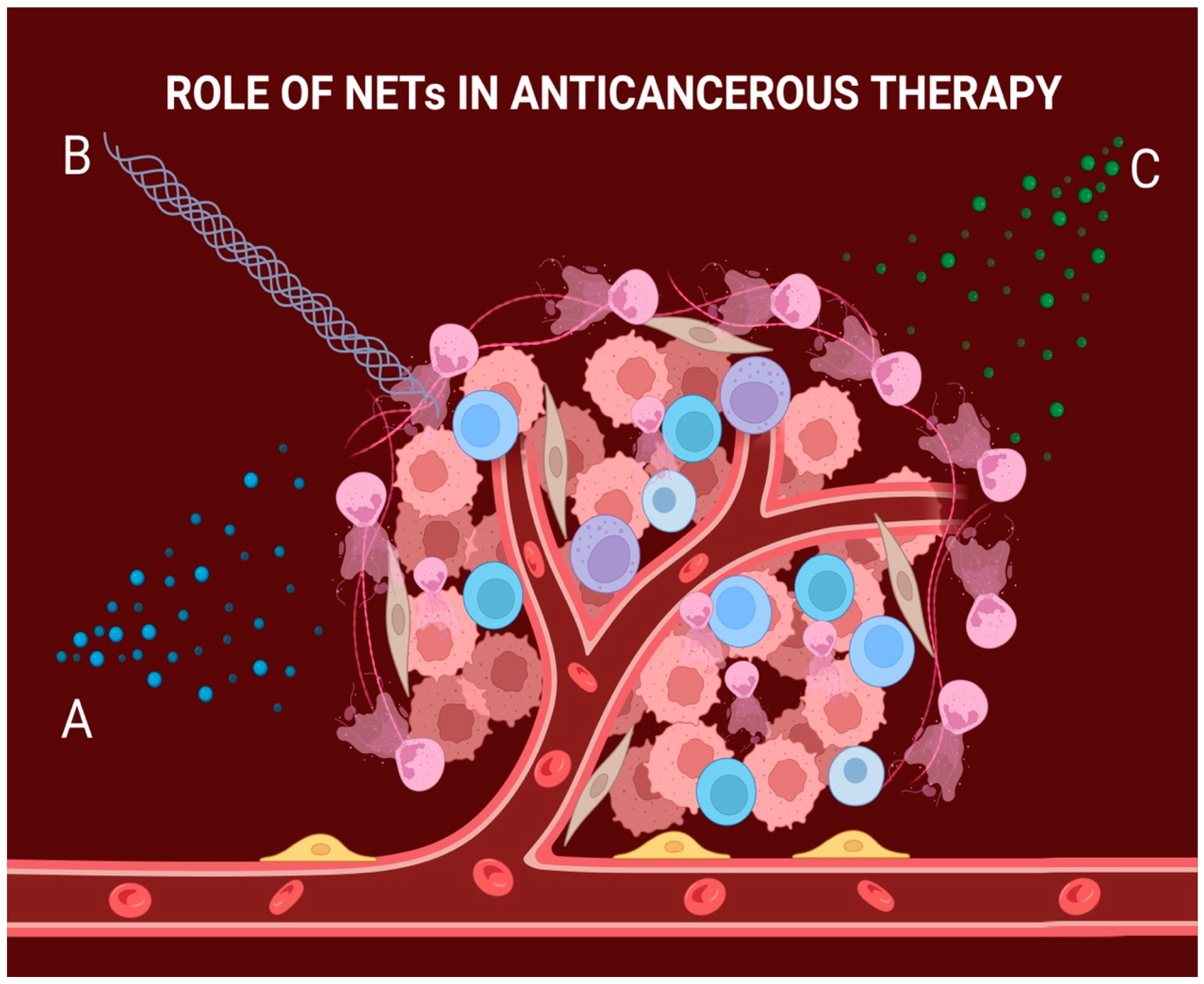 Diagnostics 14 00328 g002