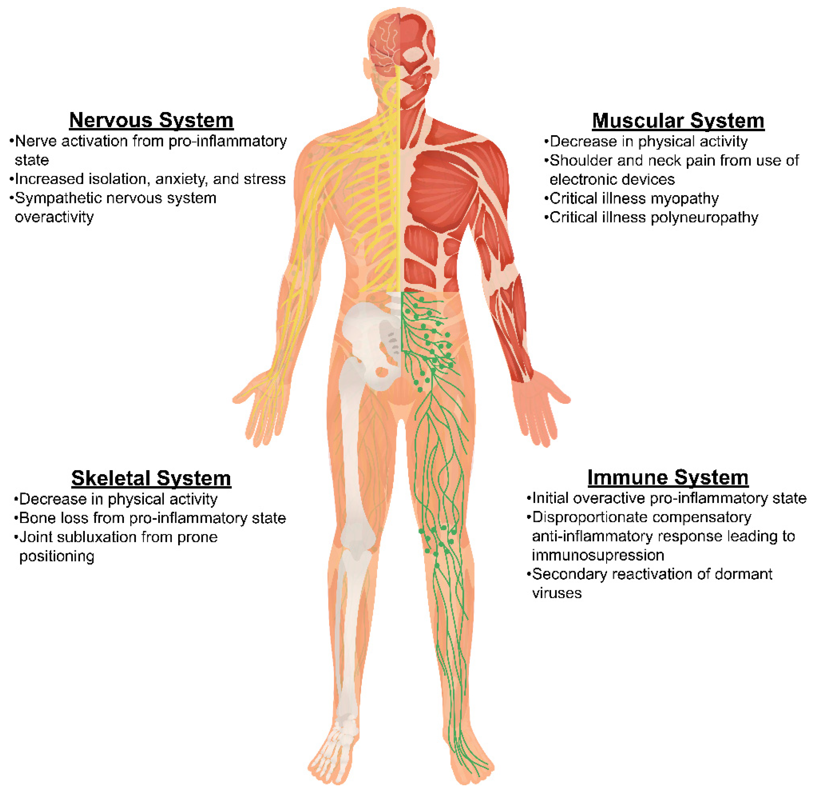 Diagnostics 14 00332 g002