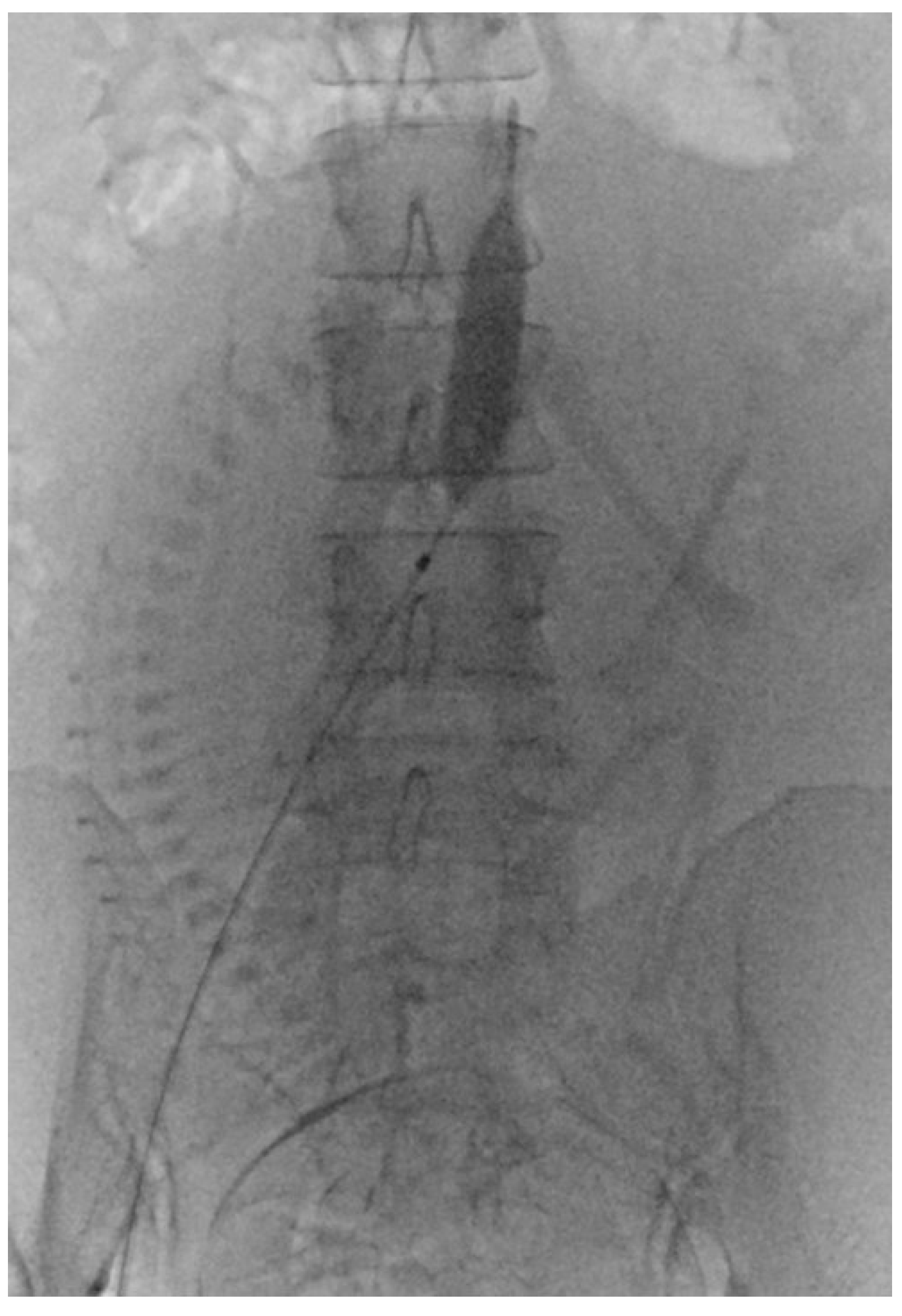 Diagnostics 14 00333 g002