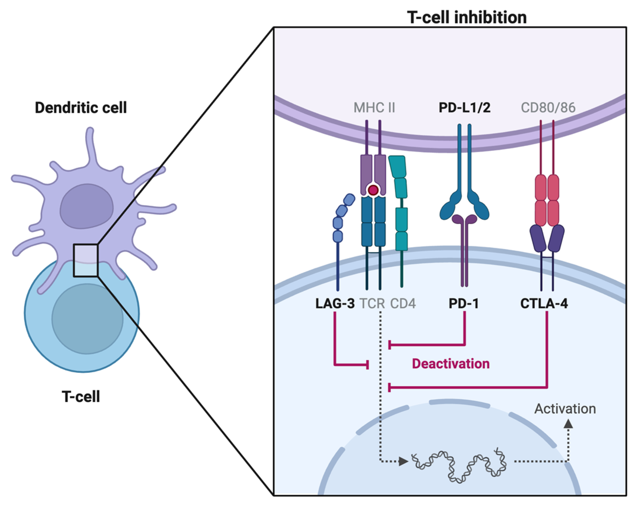 Diagnostics | Free Full-Text | Diagnosing and Managing Uveitis Associated  with Immune Checkpoint Inhibitors: A Review