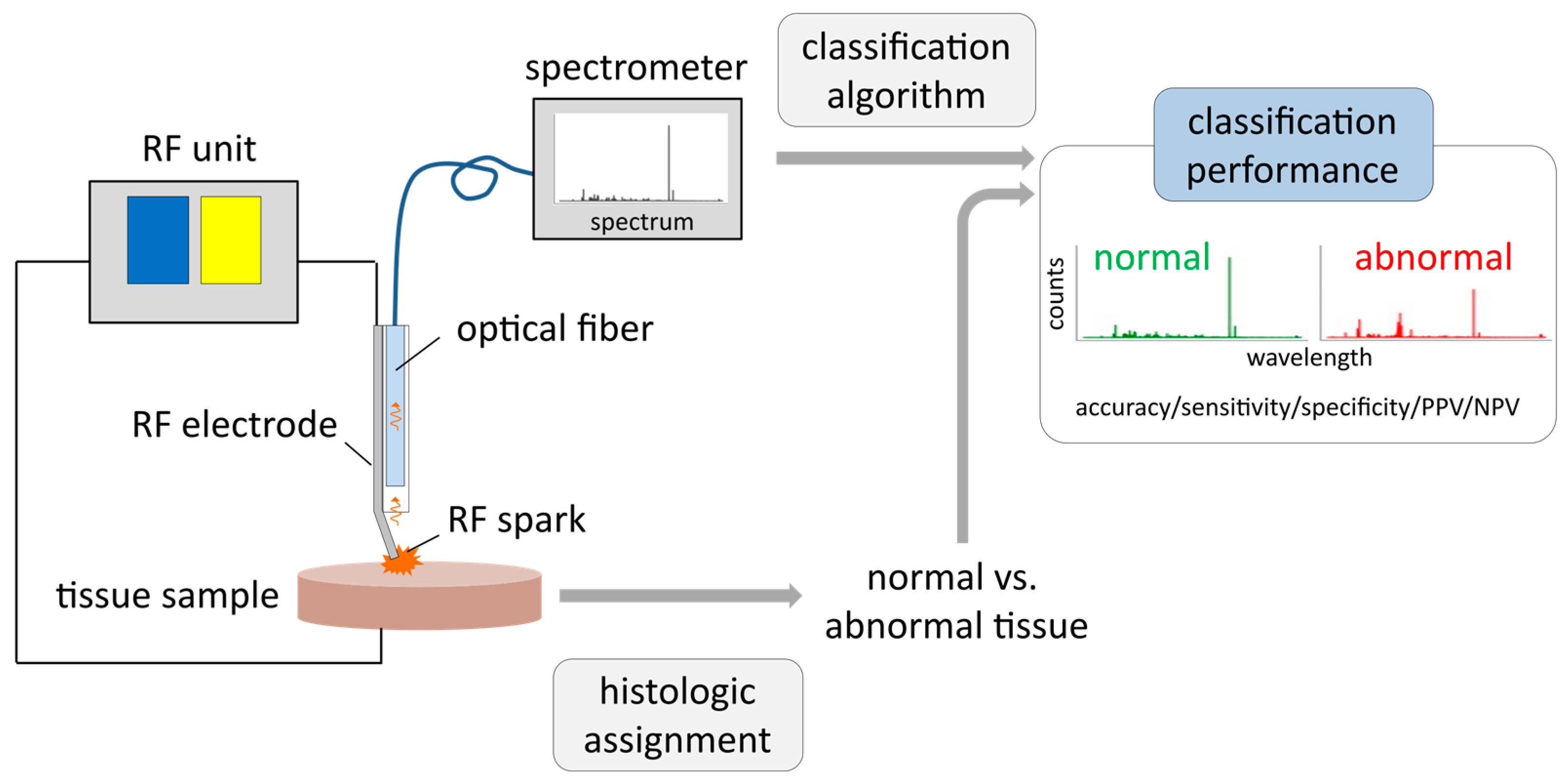 Diagnostics 14 00338 g001