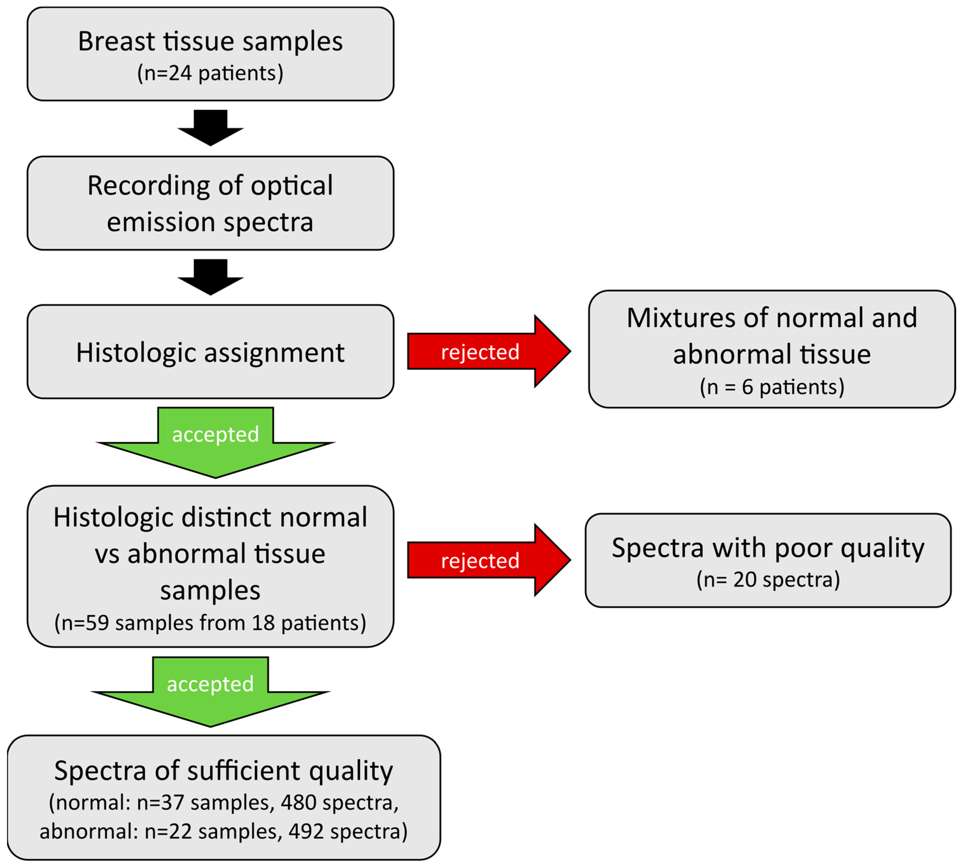 Diagnostics 14 00338 g002
