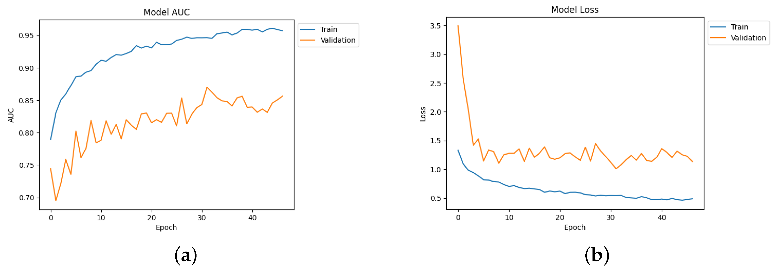 Diagnostics 14 00345 g016