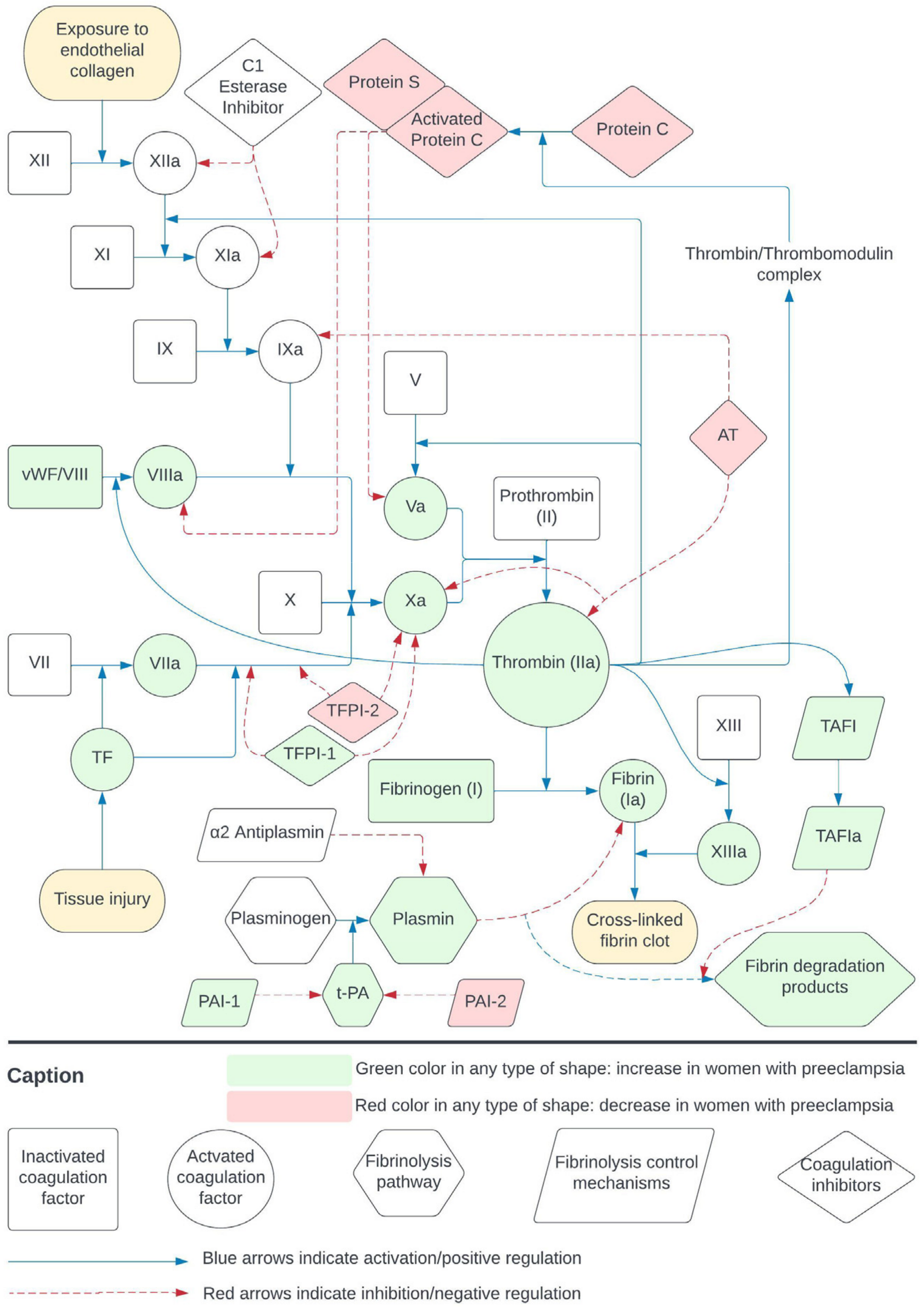 Diagnostics 14 00347 g002 Diagnostics 14 00347 g002