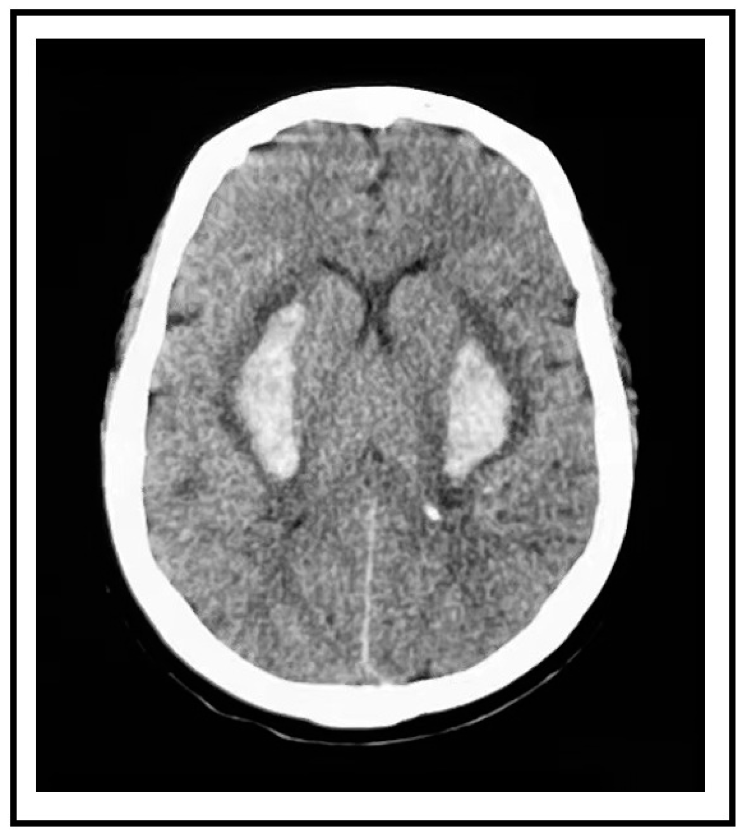 Diagnostics 14 00357 g001