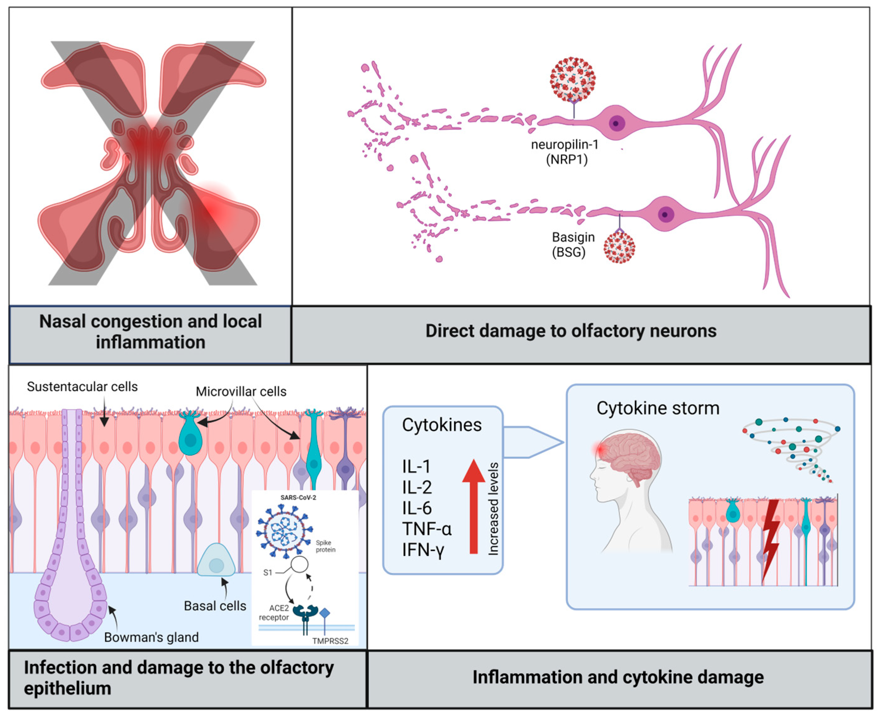 Diagnostics 14 00359 g002