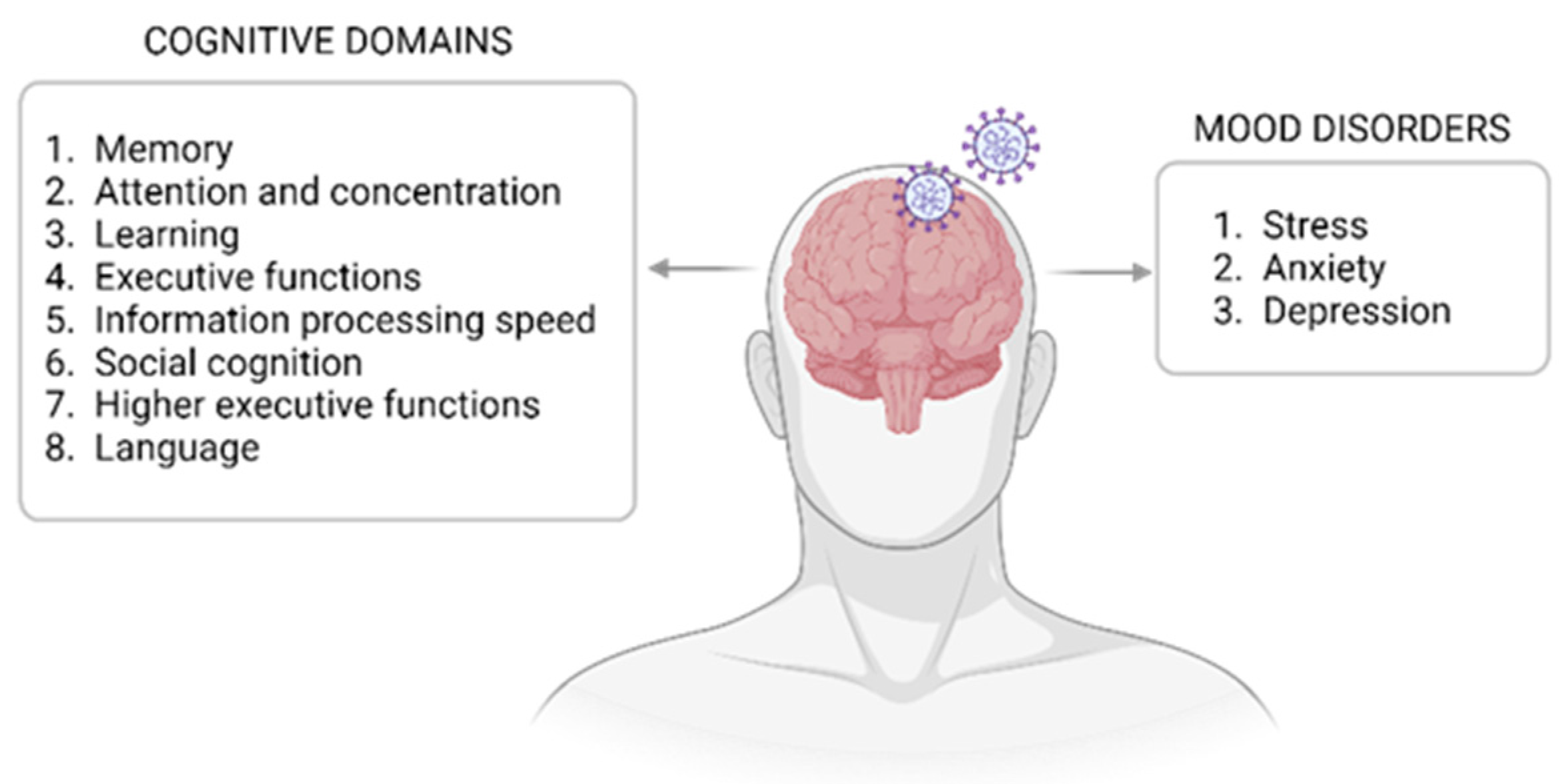 Diagnostics 14 00359 g003