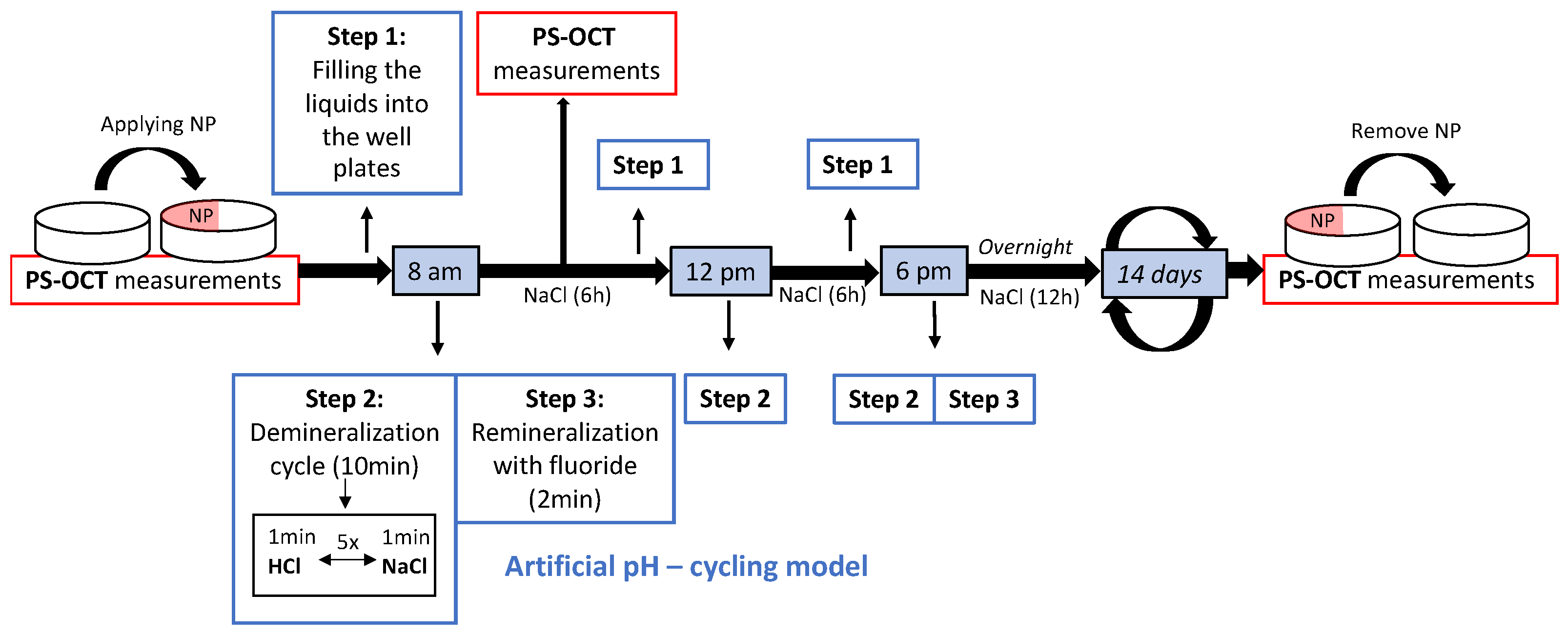 Diagnostics 14 00367 g002