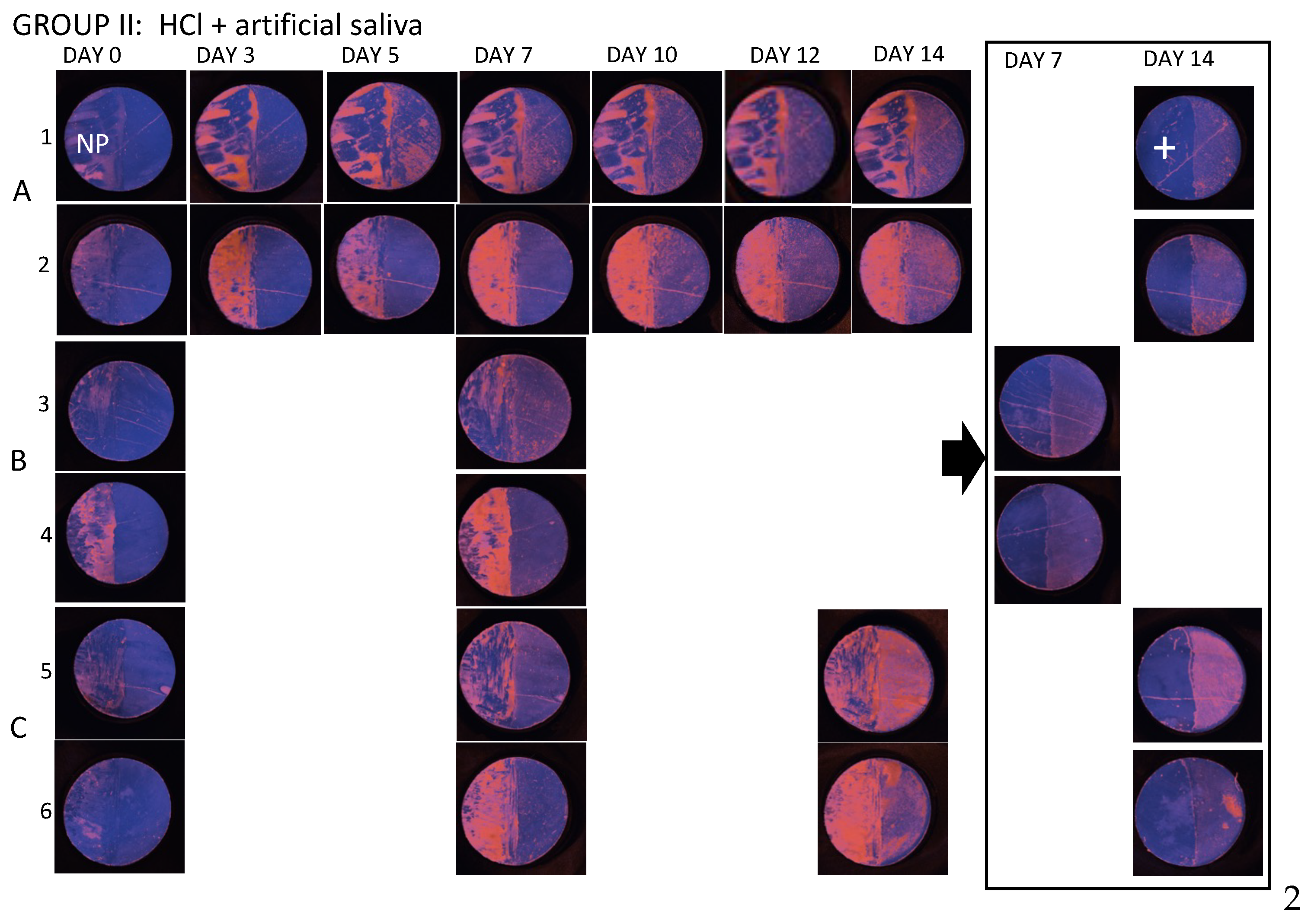 Diagnostics 14 00367 g0a2