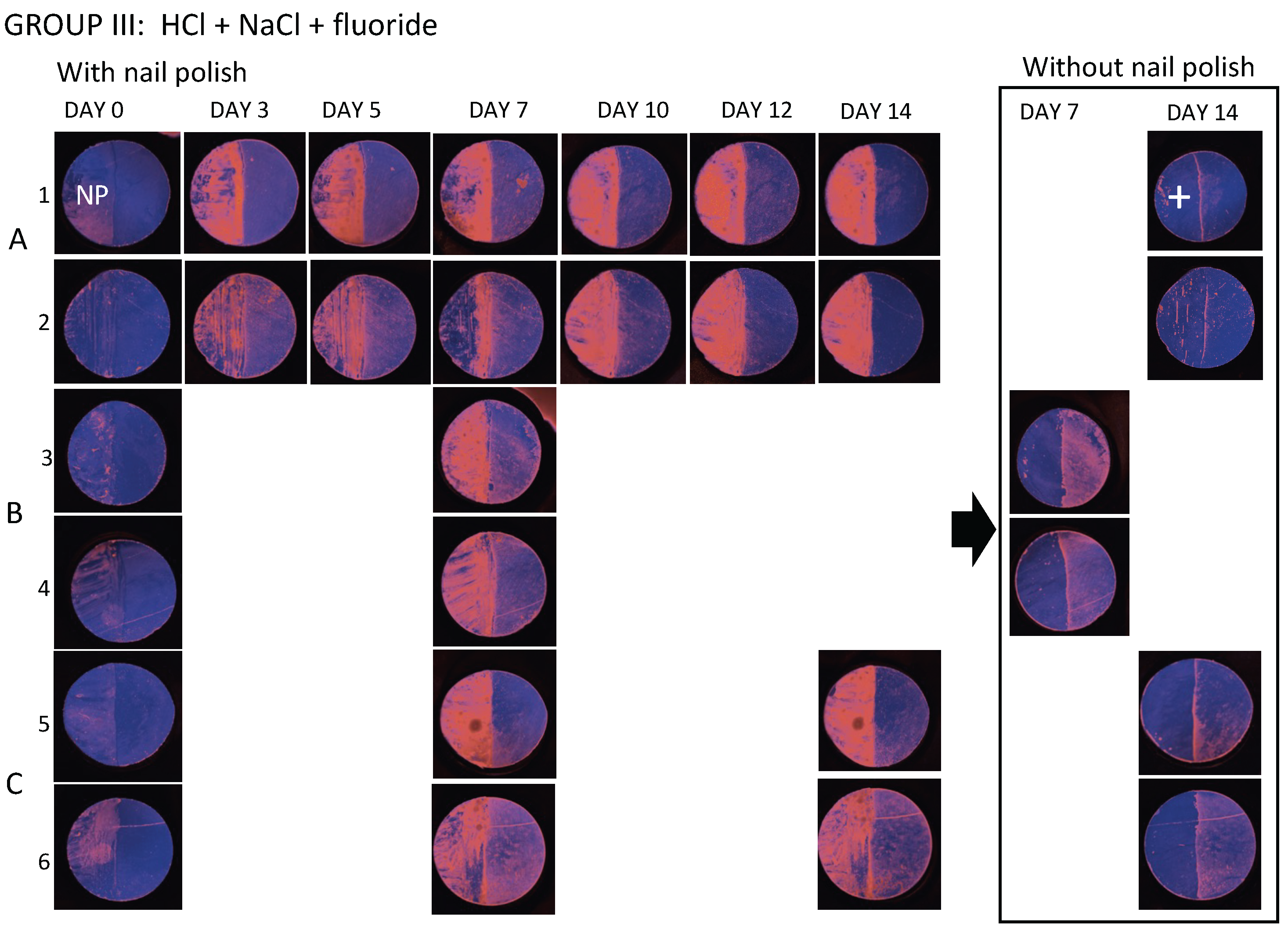 Diagnostics 14 00367 g0a3