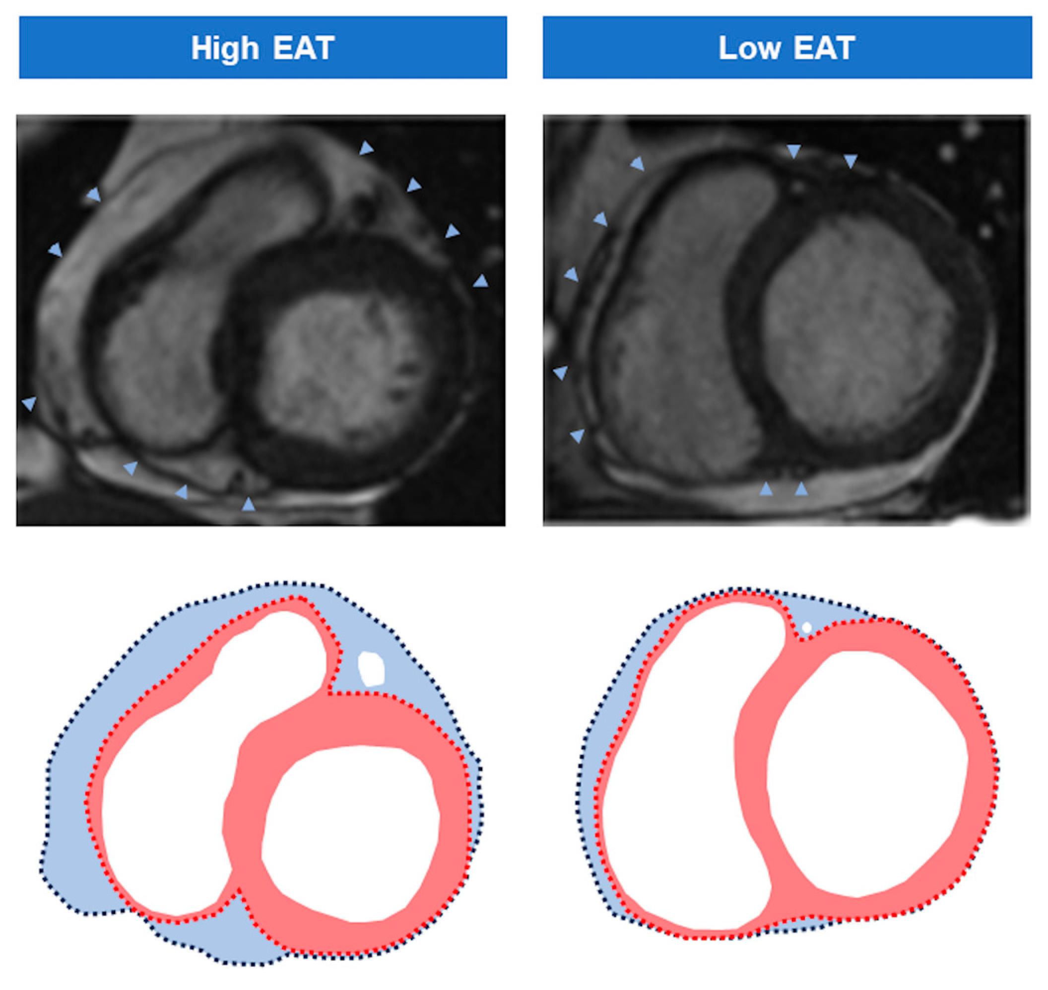 Diagnostics 14 00368 g002
