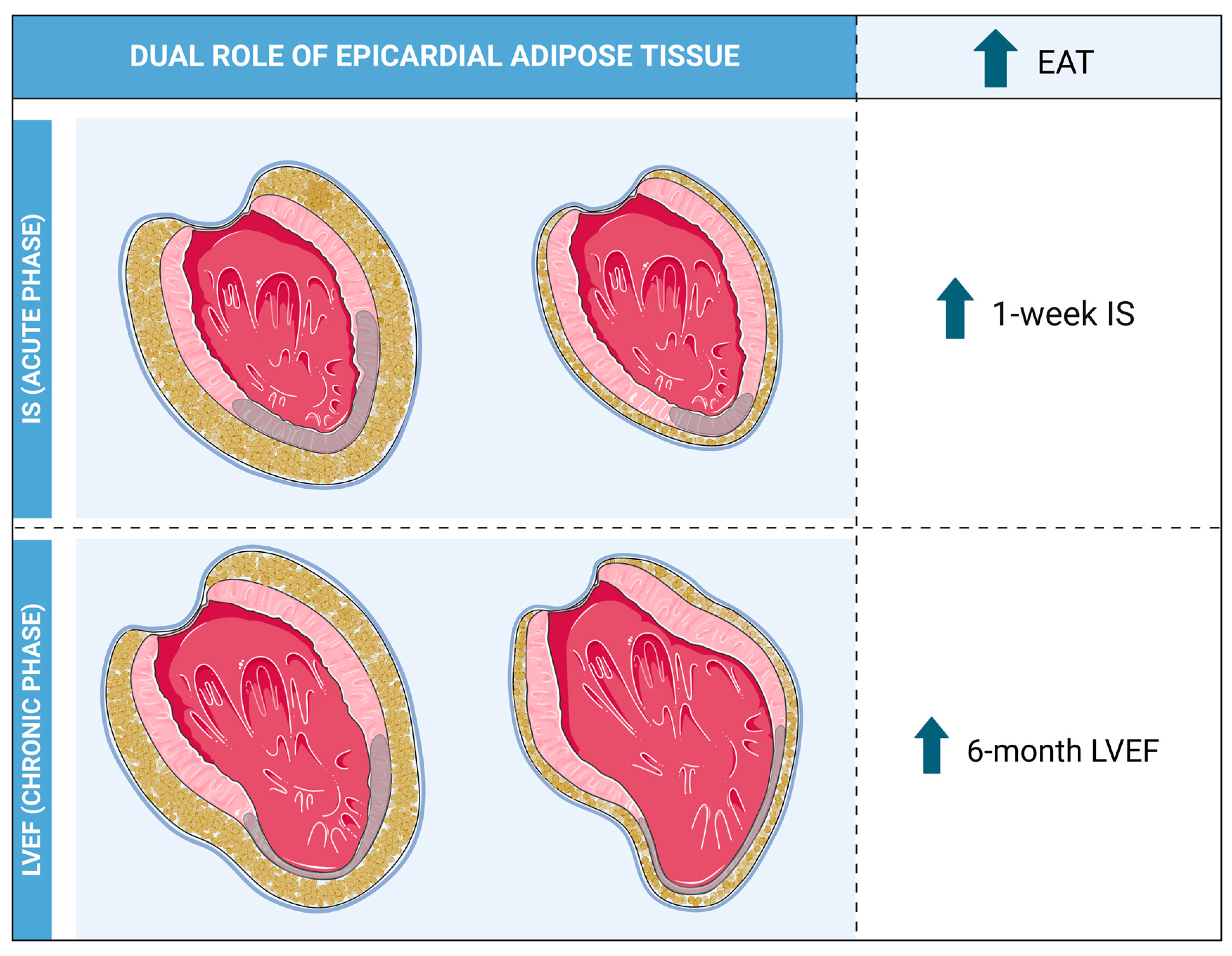 Diagnostics 14 00368 g010