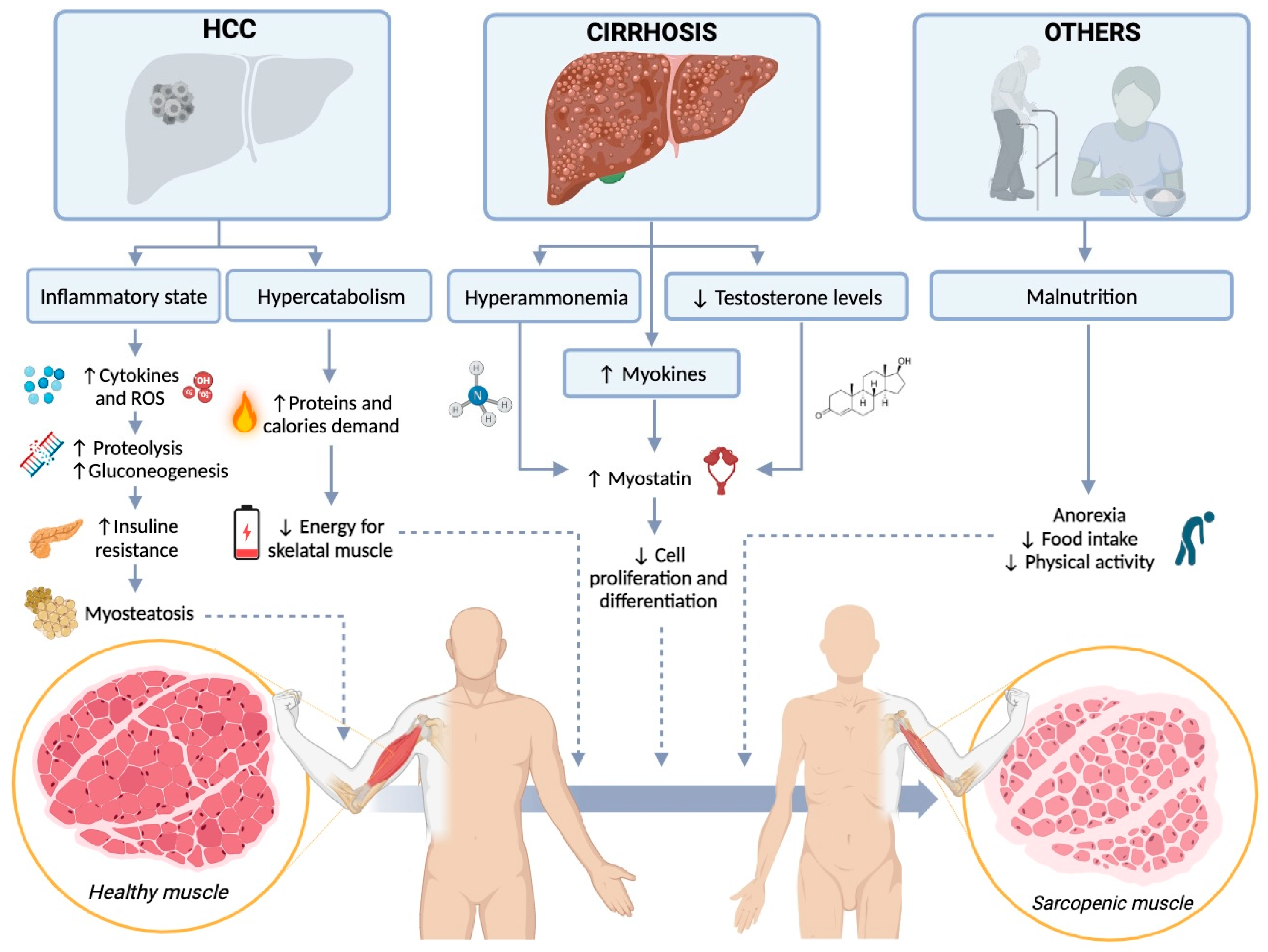 Diagnostics 14 00371 g001
