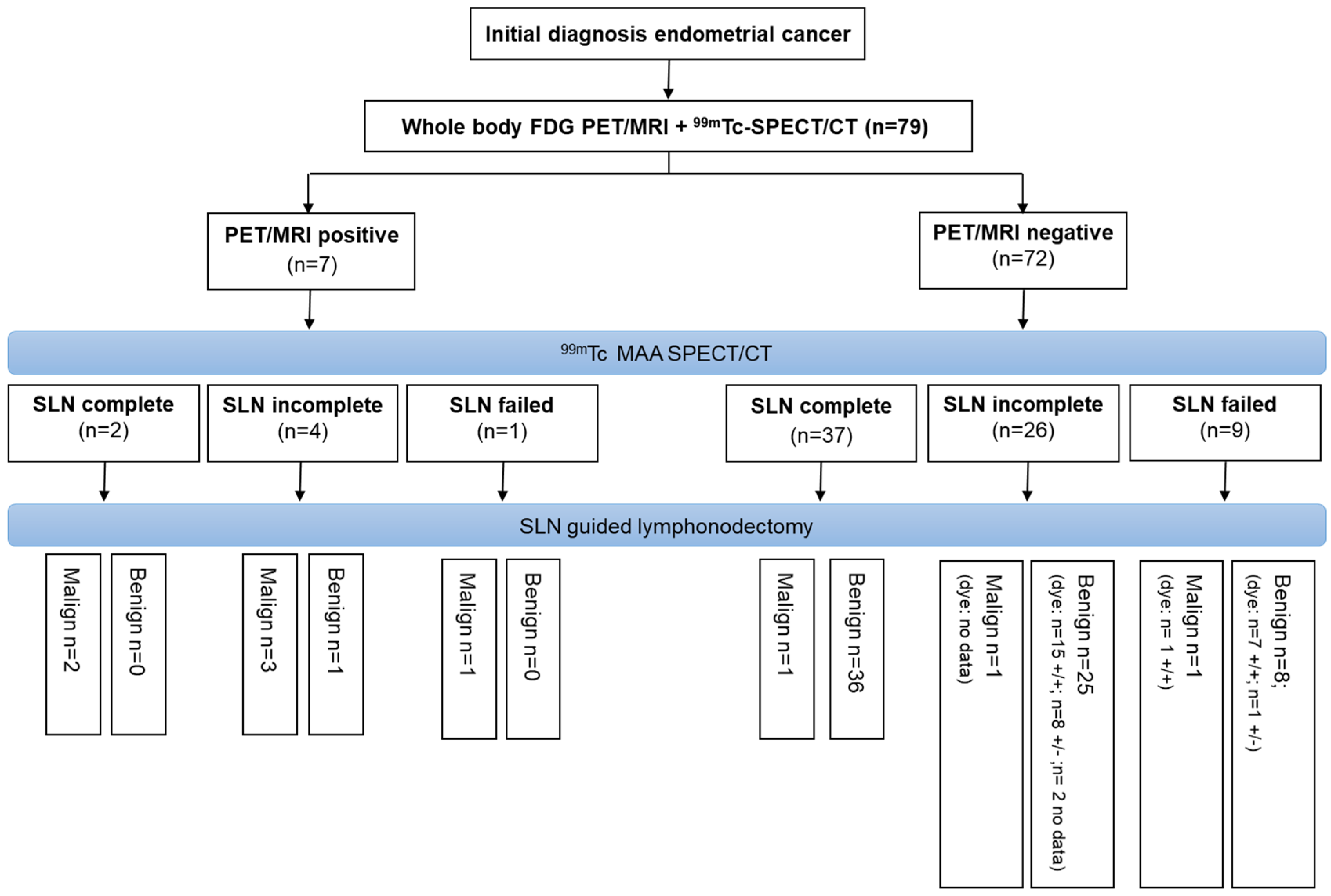 Diagnostics 14 00376 g003