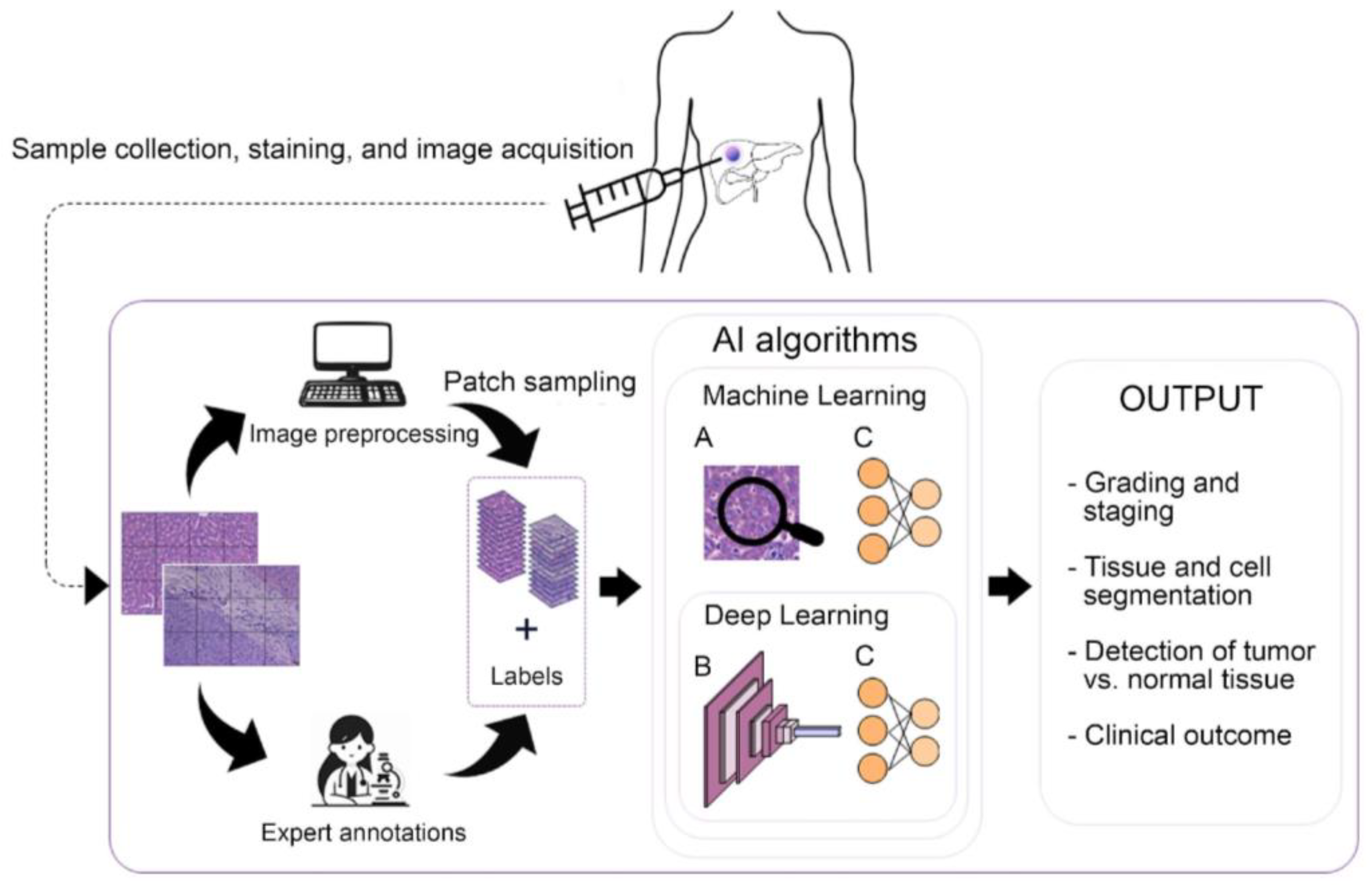 Diagnostics 14 00388 g001 Diagnostics 14 00388 g001