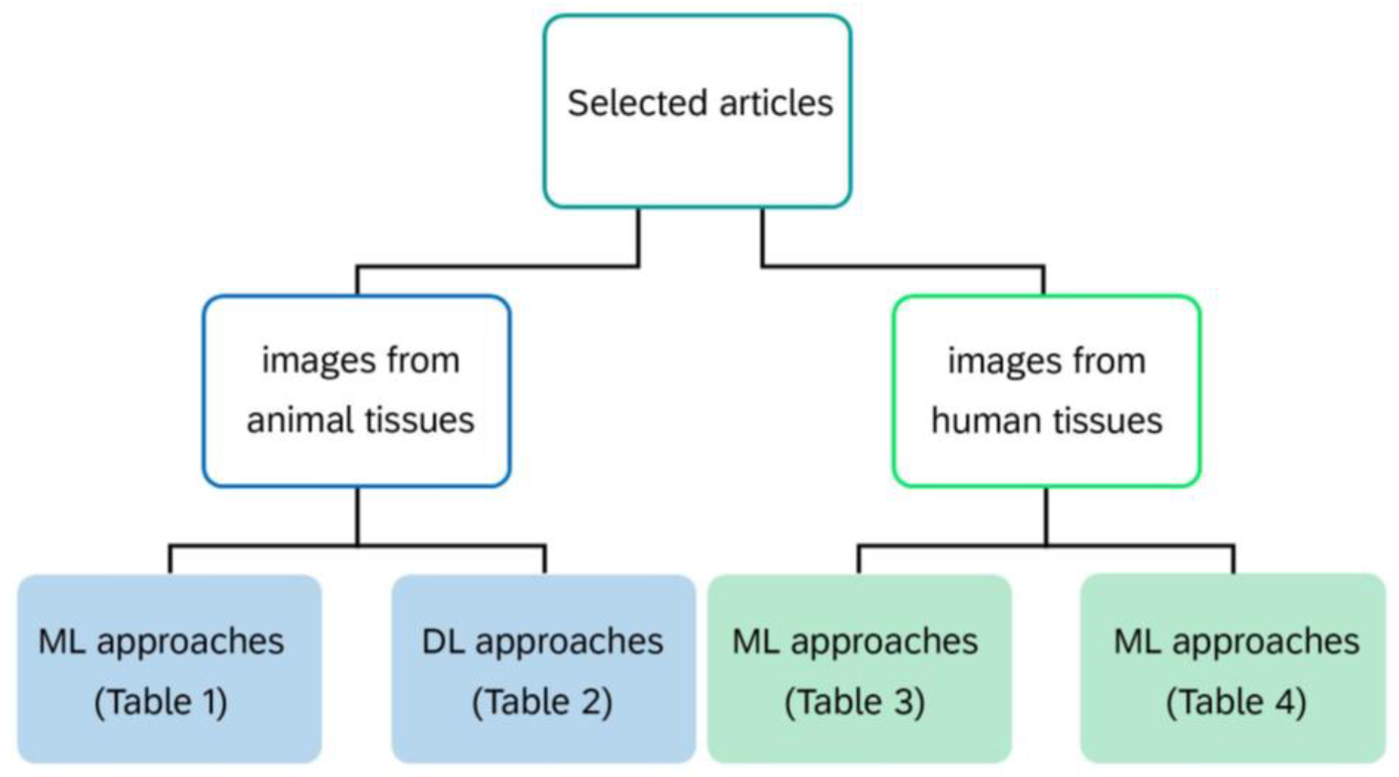 Diagnostics 14 00388 g003 Diagnostics 14 00388 g003