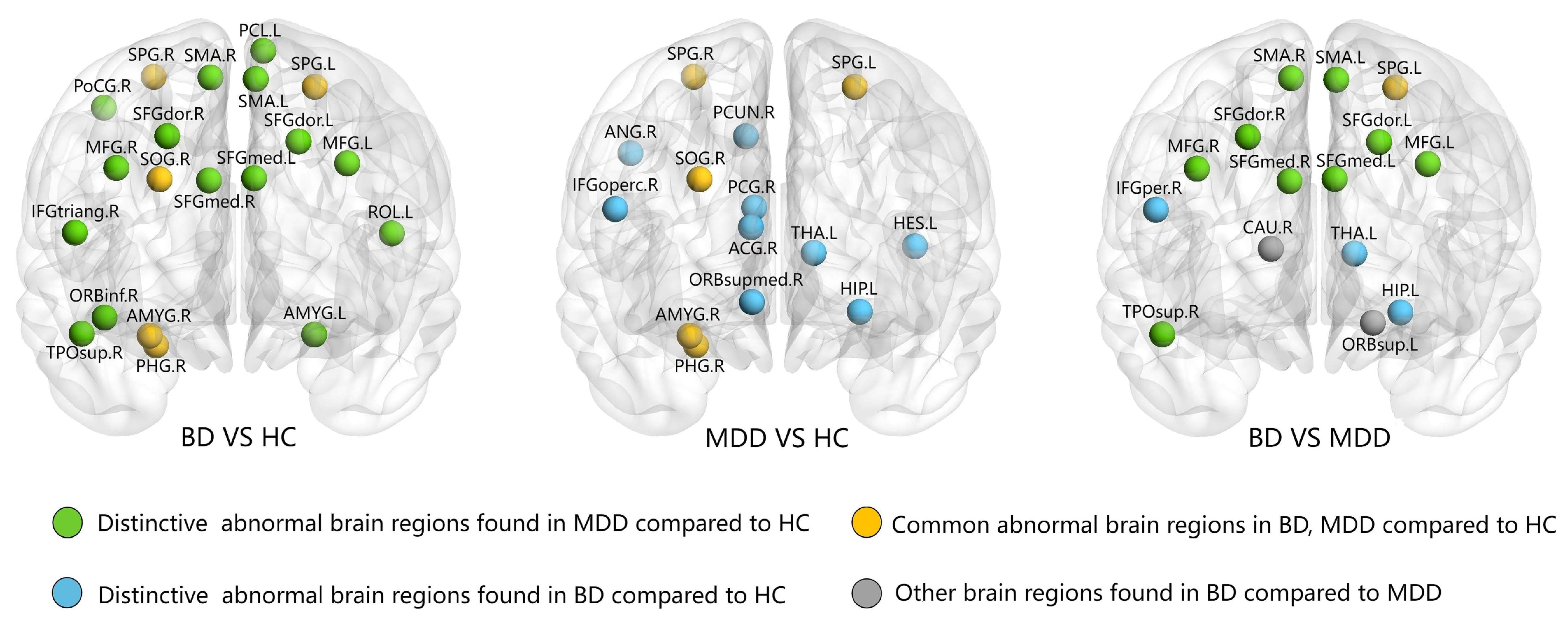 Diagnostics 14 00389 g002 Diagnostics 14 00389 g002