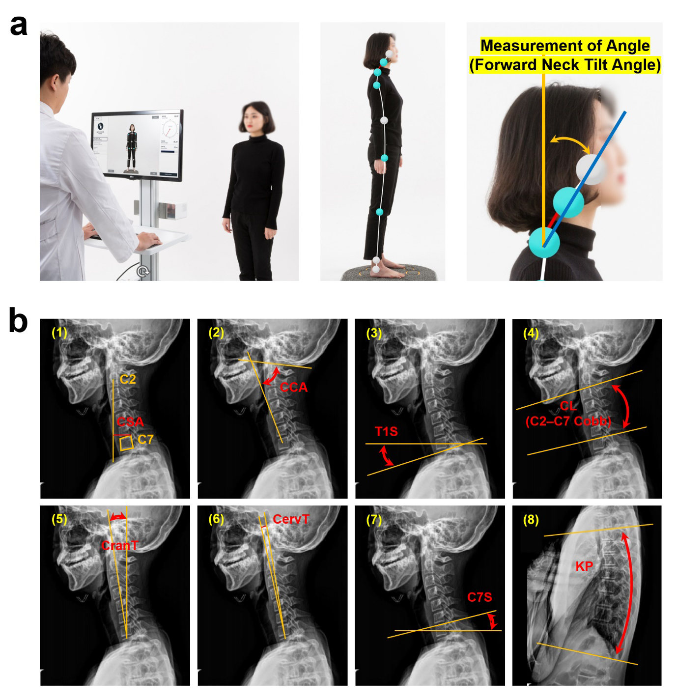 Diagnostics 14 00394 g001