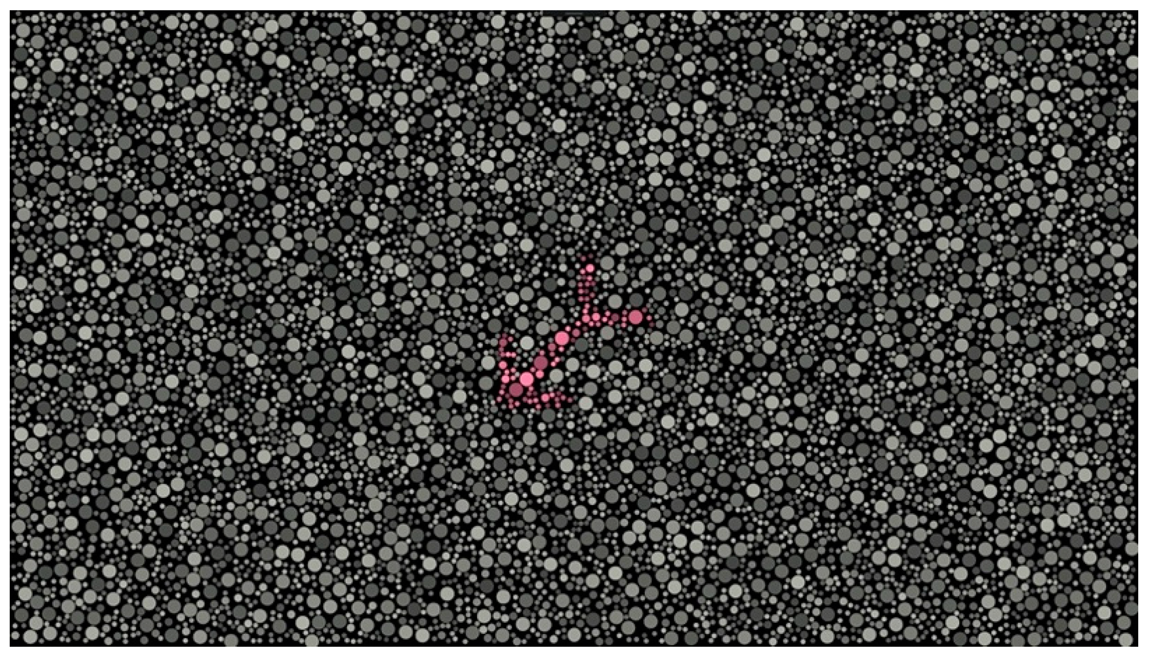 Diagnostics 14 00396 g002