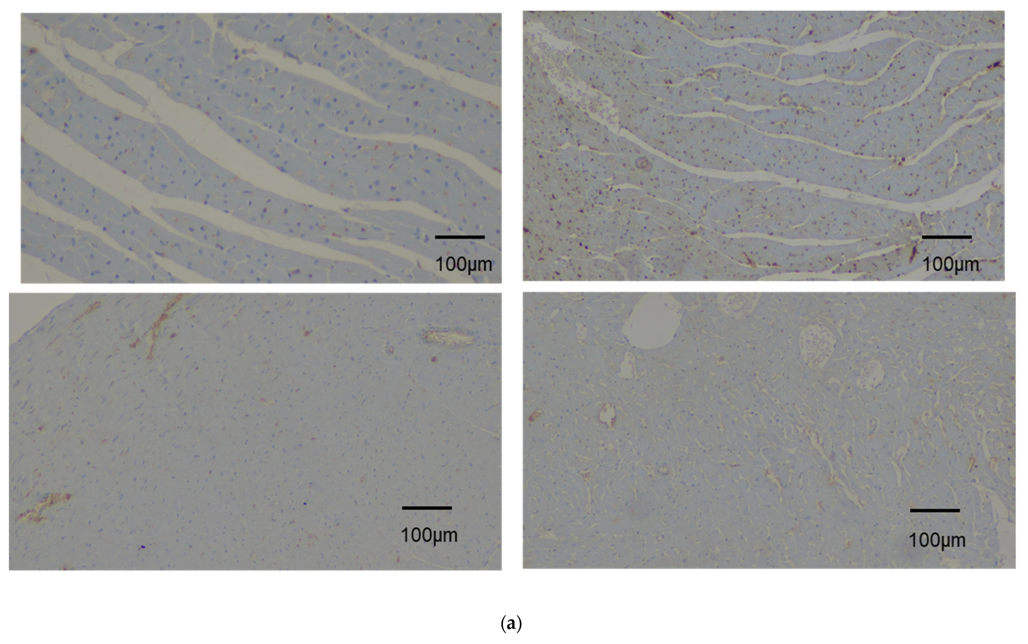 Diagnostics 14 00401 g006a
