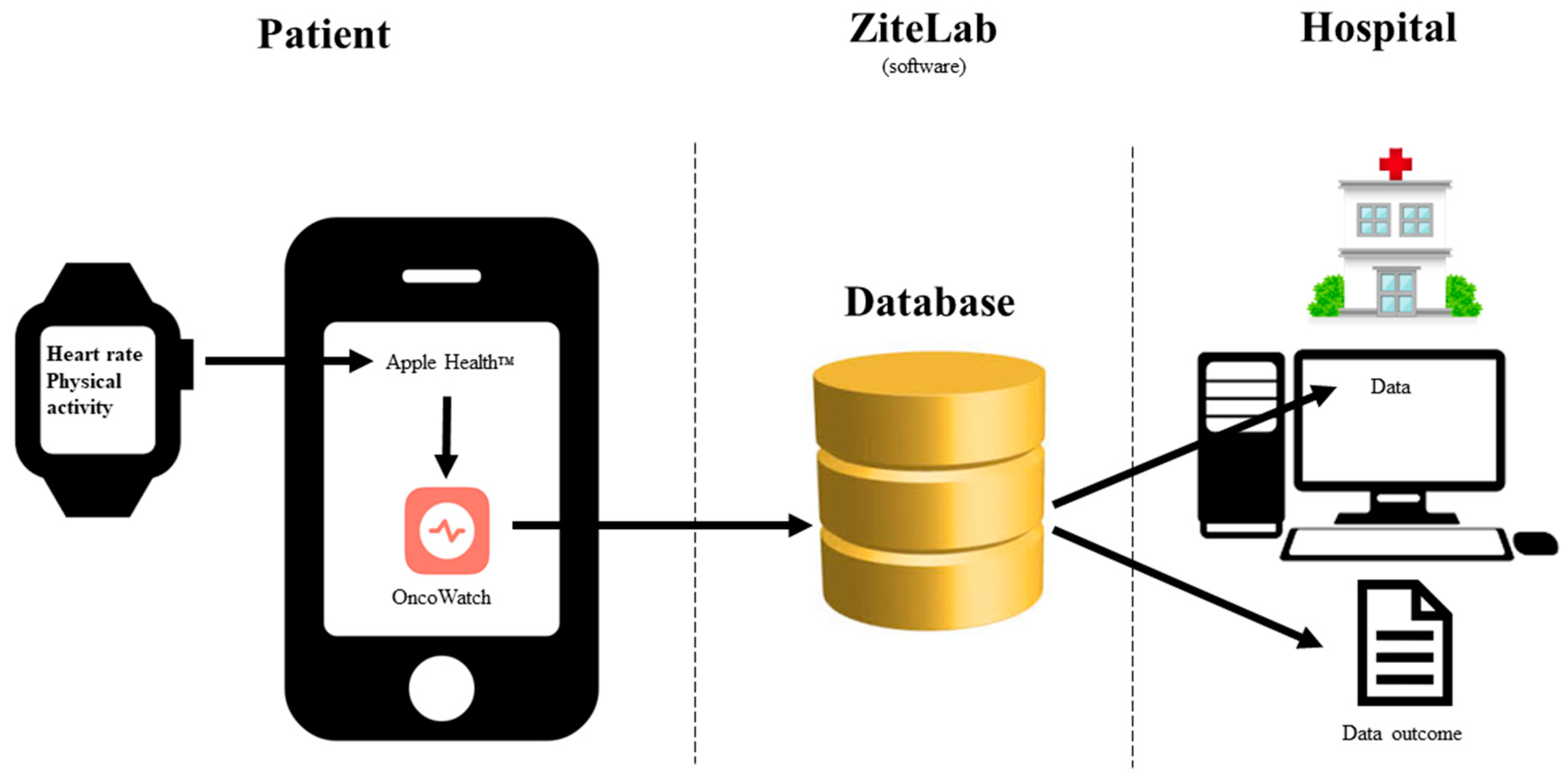 Diagnostics 14 00405 g002