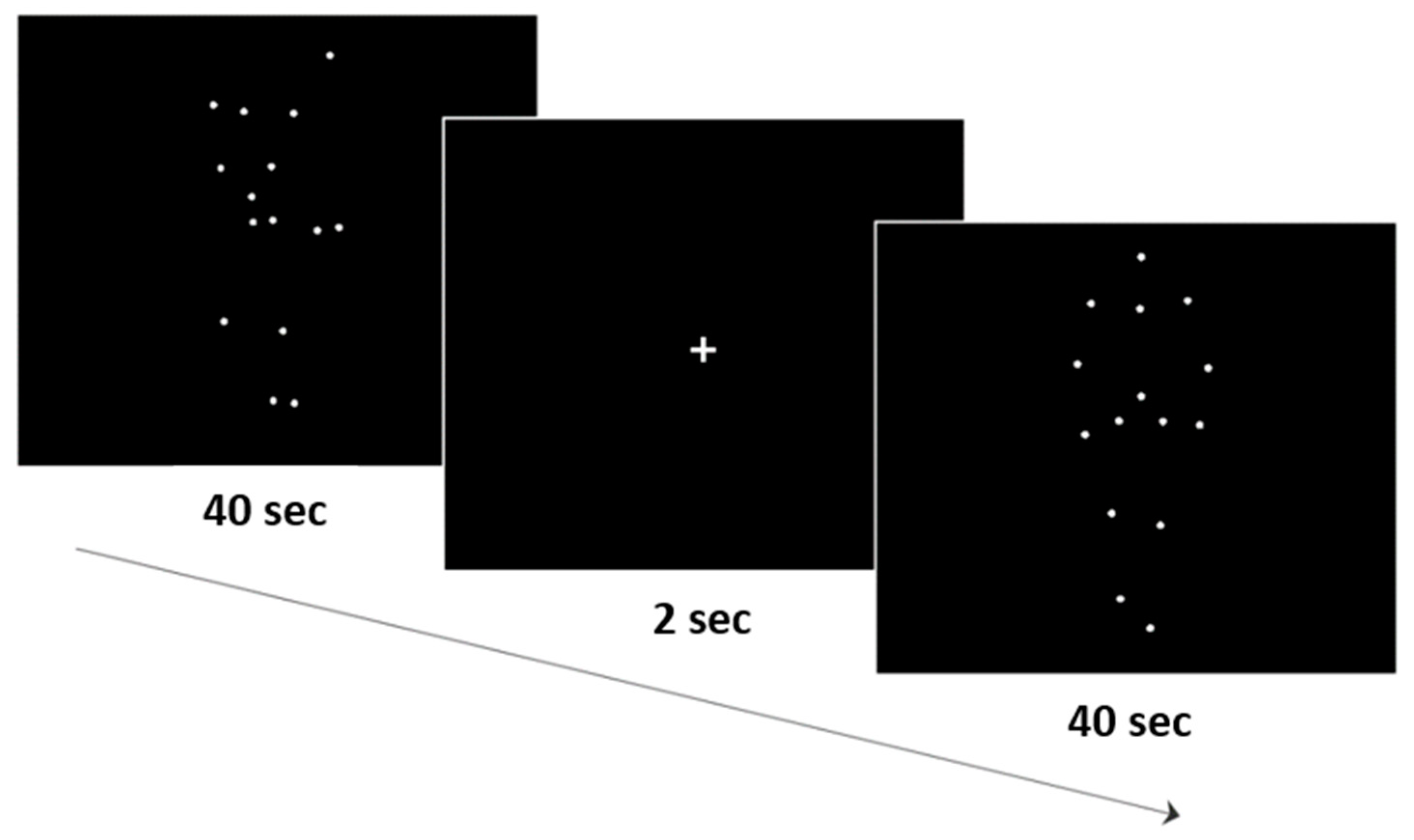 Diagnostics 14 00408 g002 Diagnostics 14 00408 g002
