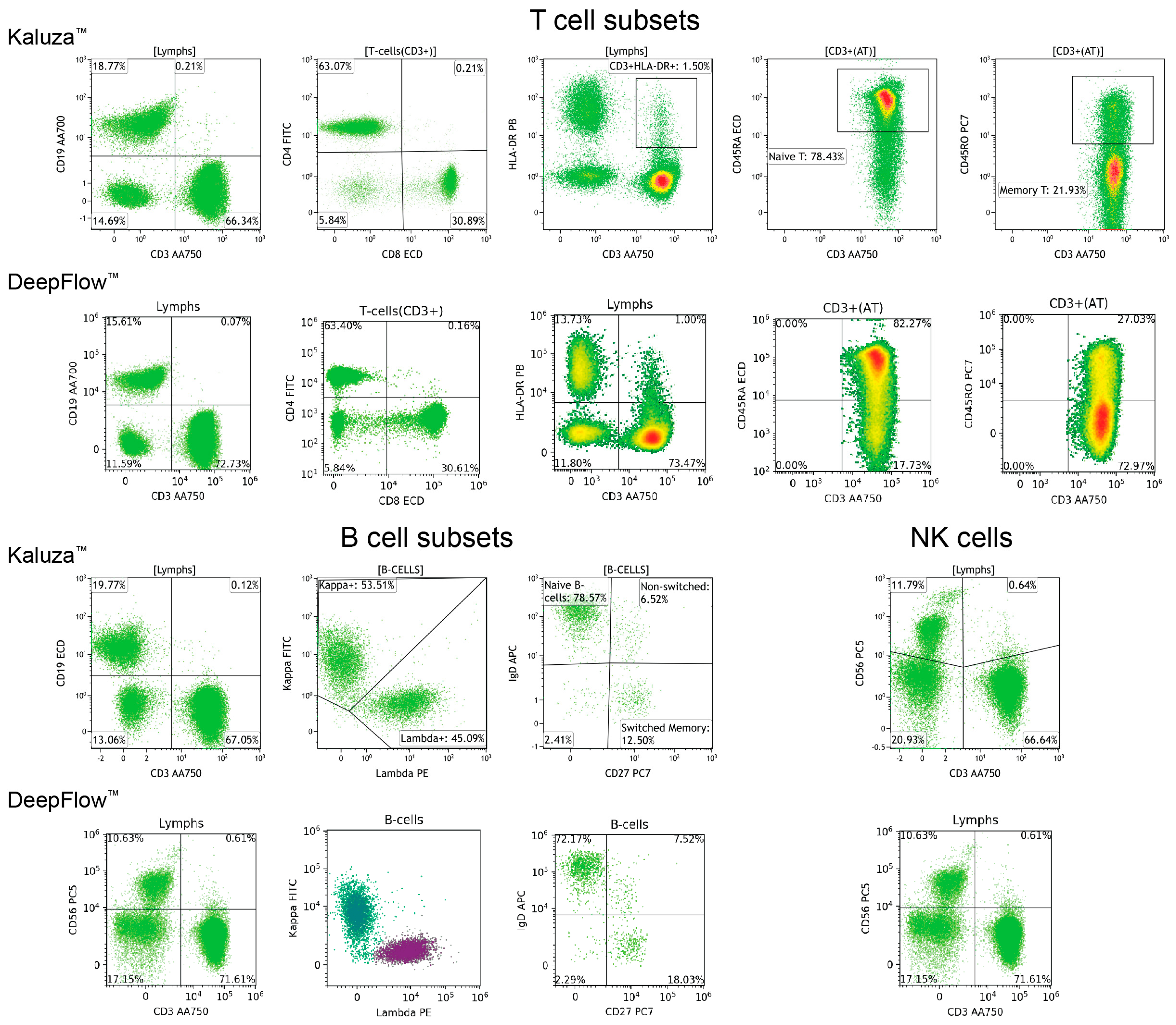 Diagnostics 14 00420 g003